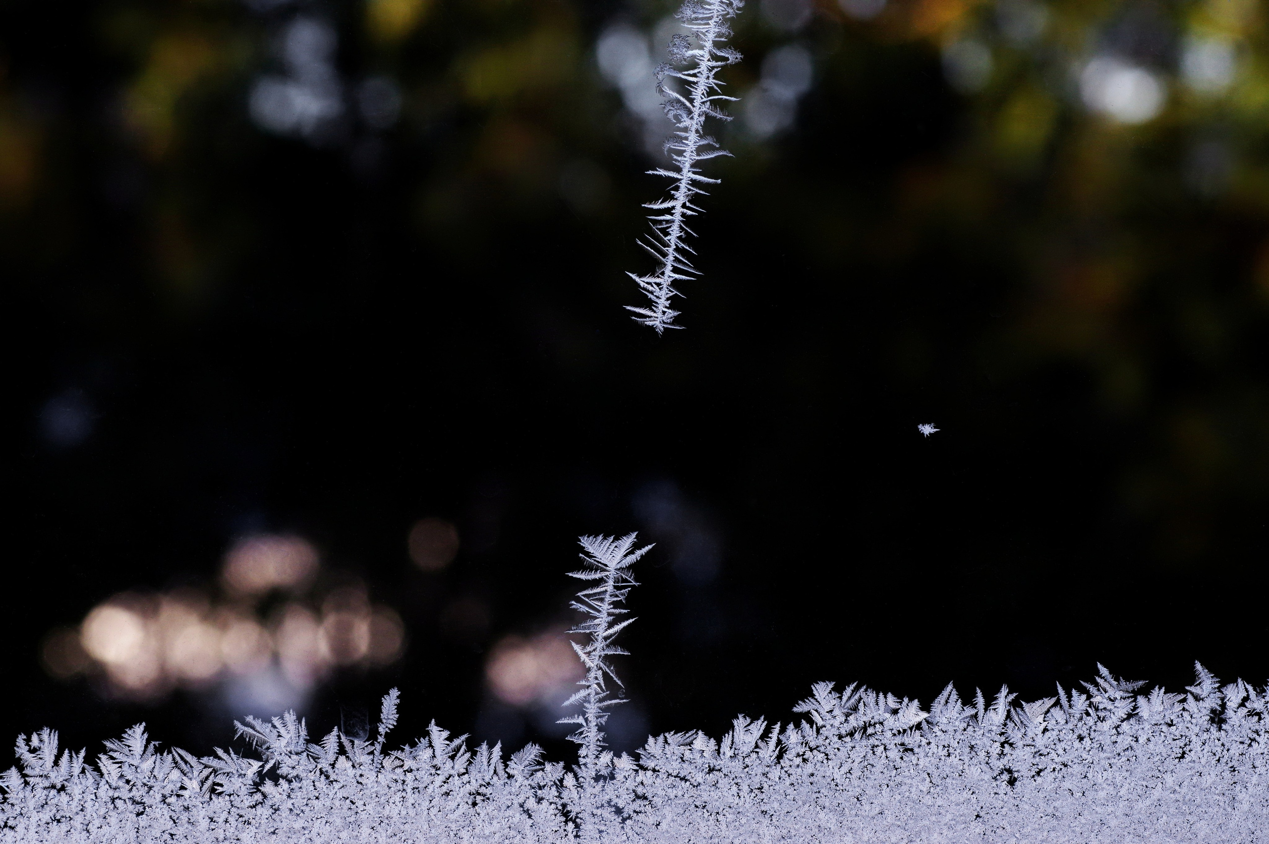 5. Вадим Шейдин