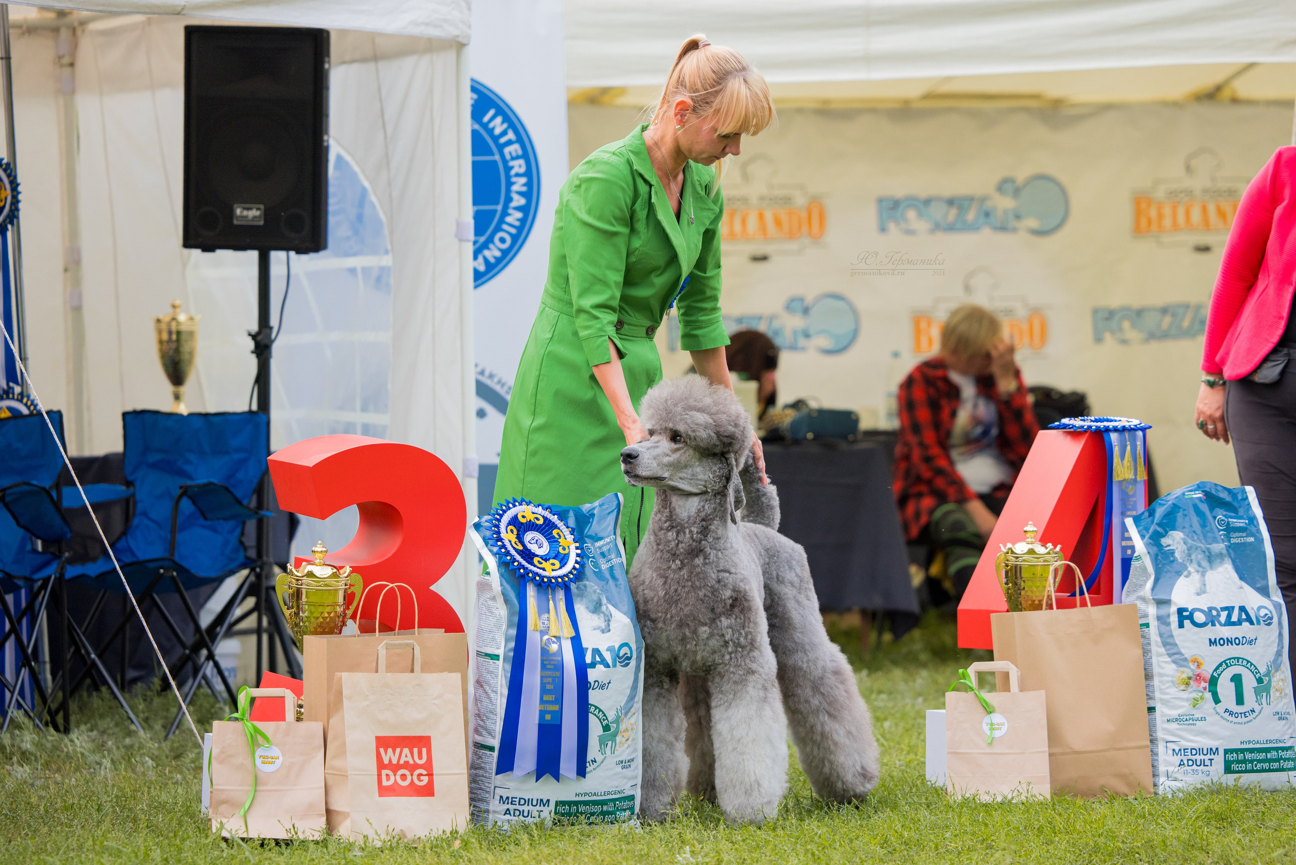 Астана 2хCACIB 17-18.08.2024. Фотограф-анималист Юлия Германика