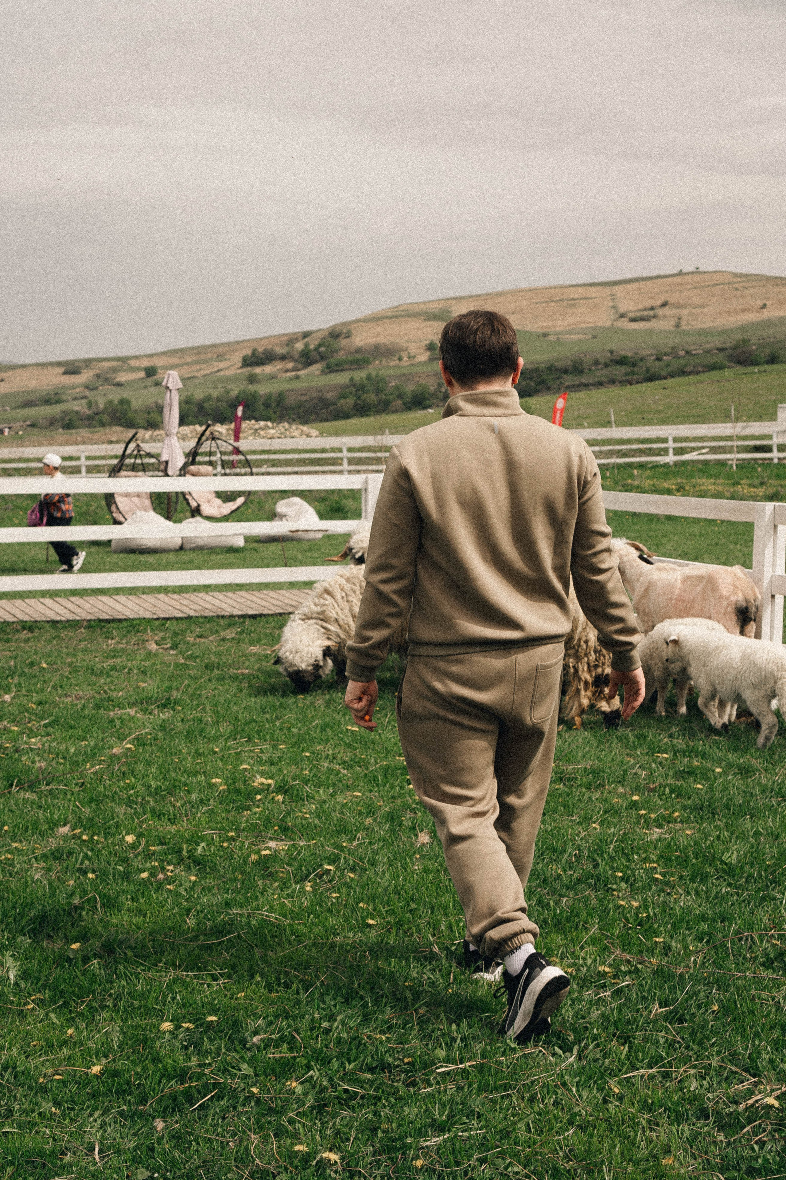 Ферма Альпак. Профессиональный фотограф, Санкт-Петербург — Виктория Богомолова