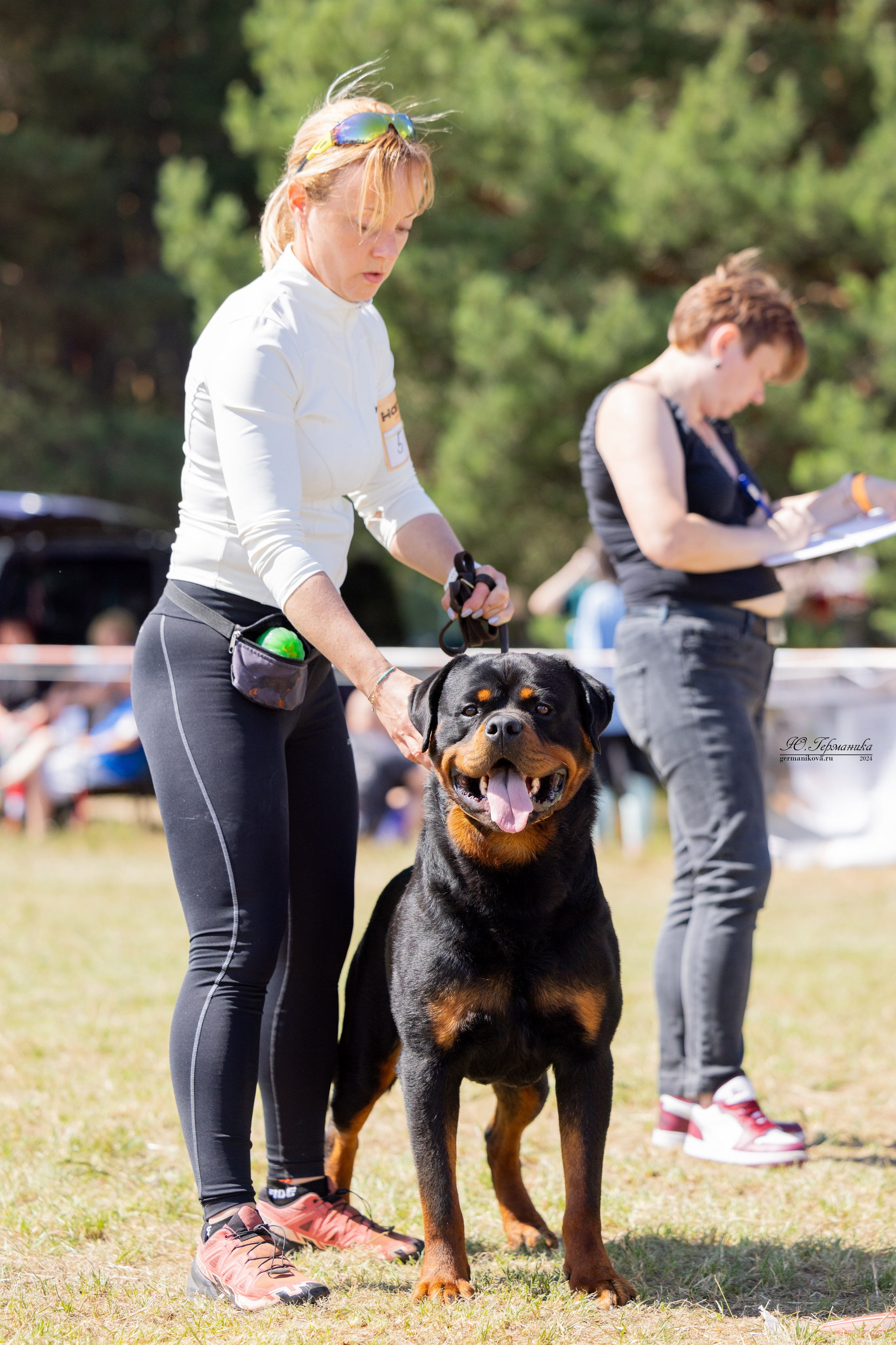 ПК и КЧК ротвейлеры Тверь 6-7.07.2024. Фотограф-анималист Юлия Германика