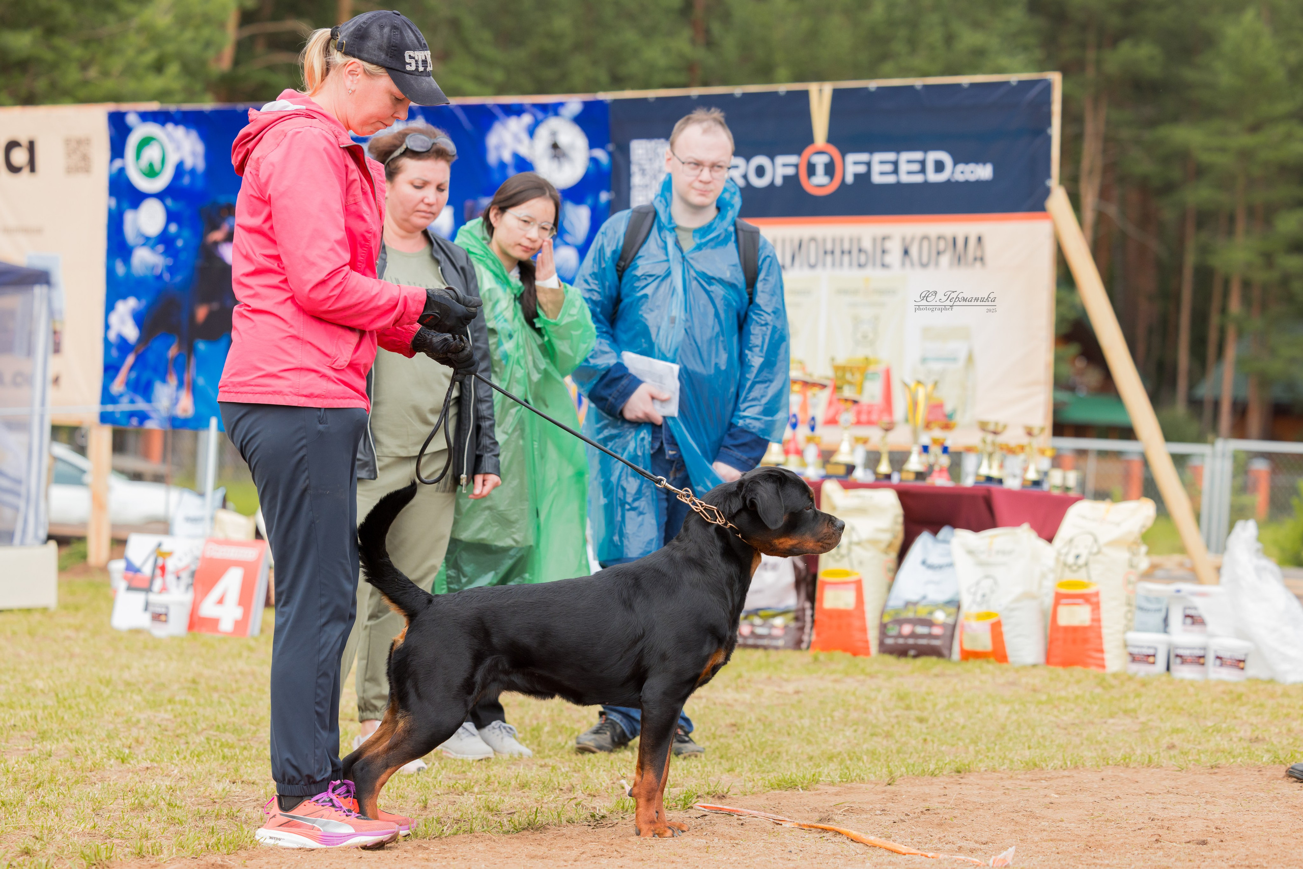 Тверь ротвейлеры 5-6.07.2025. Фотограф-анималист Юлия Германика