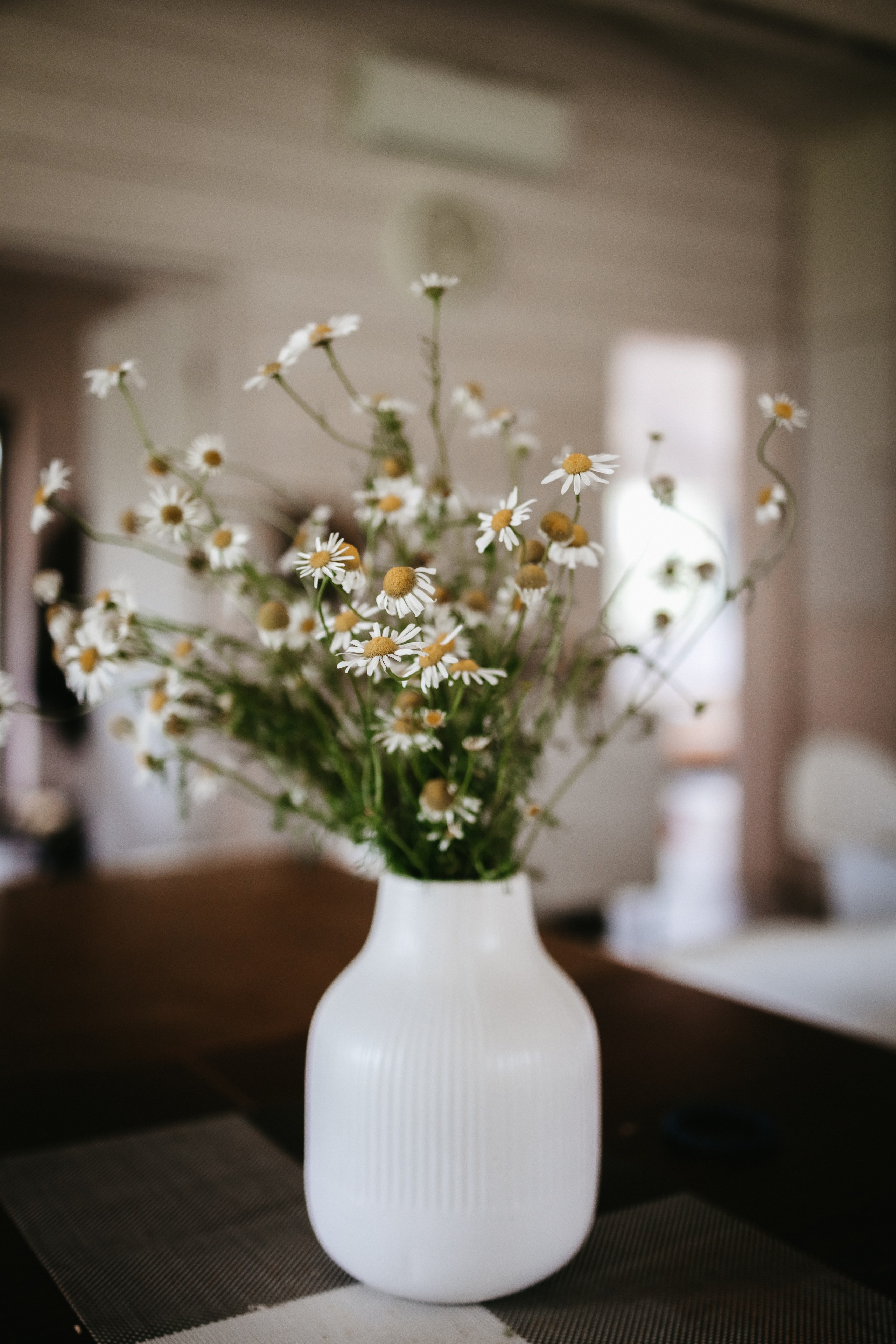 Там где тепло…. Евгения Пелипас