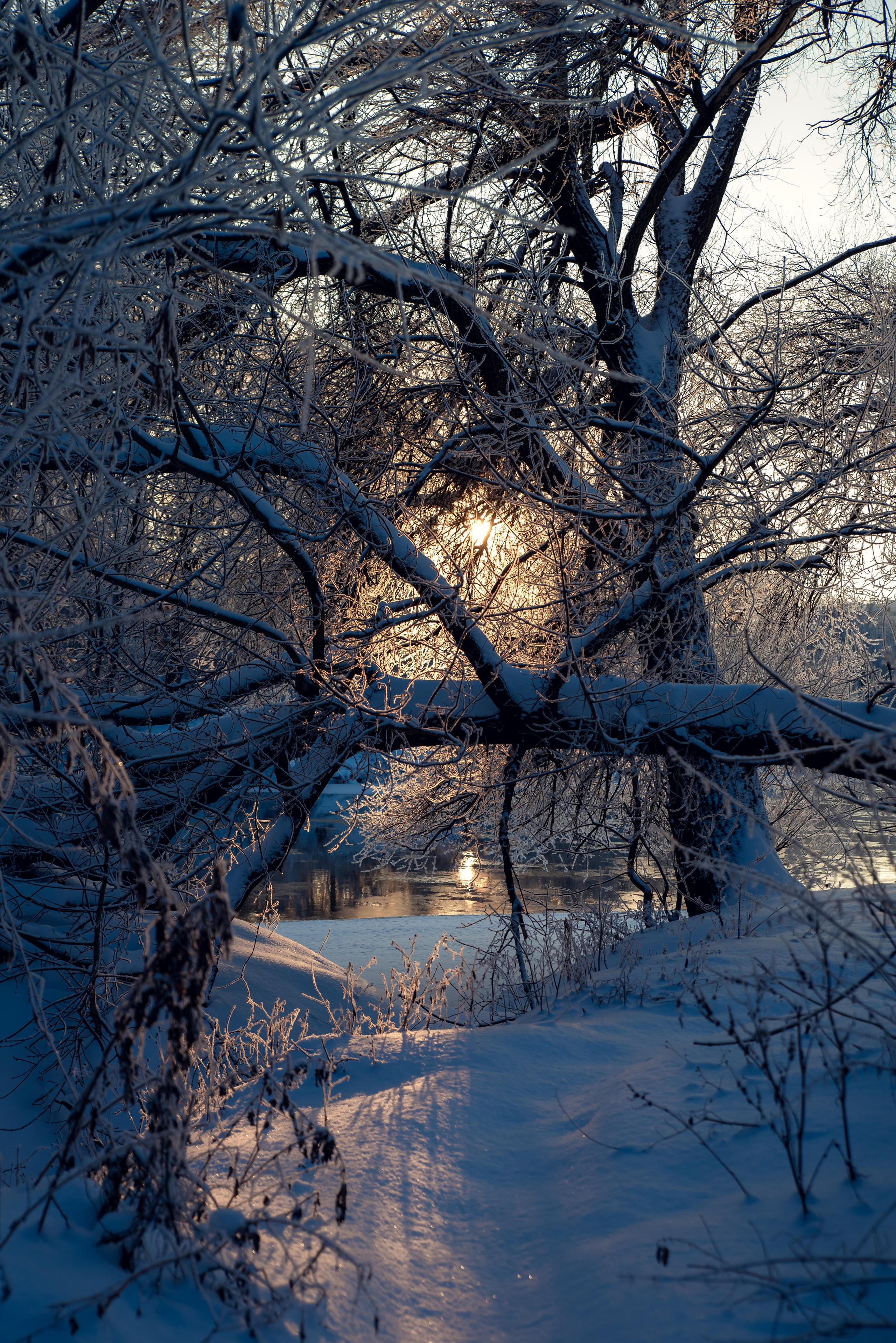 Зимушка зима. Фотограф Крещение Венчание Москва