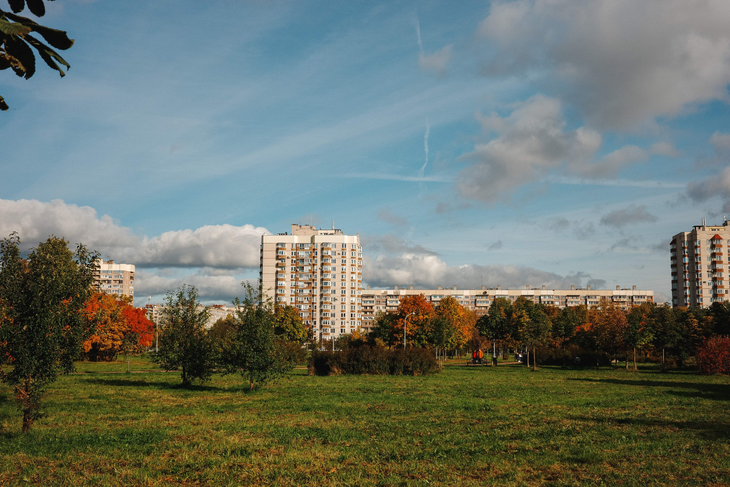 2024.10. Фотограф Алексей Алексеев