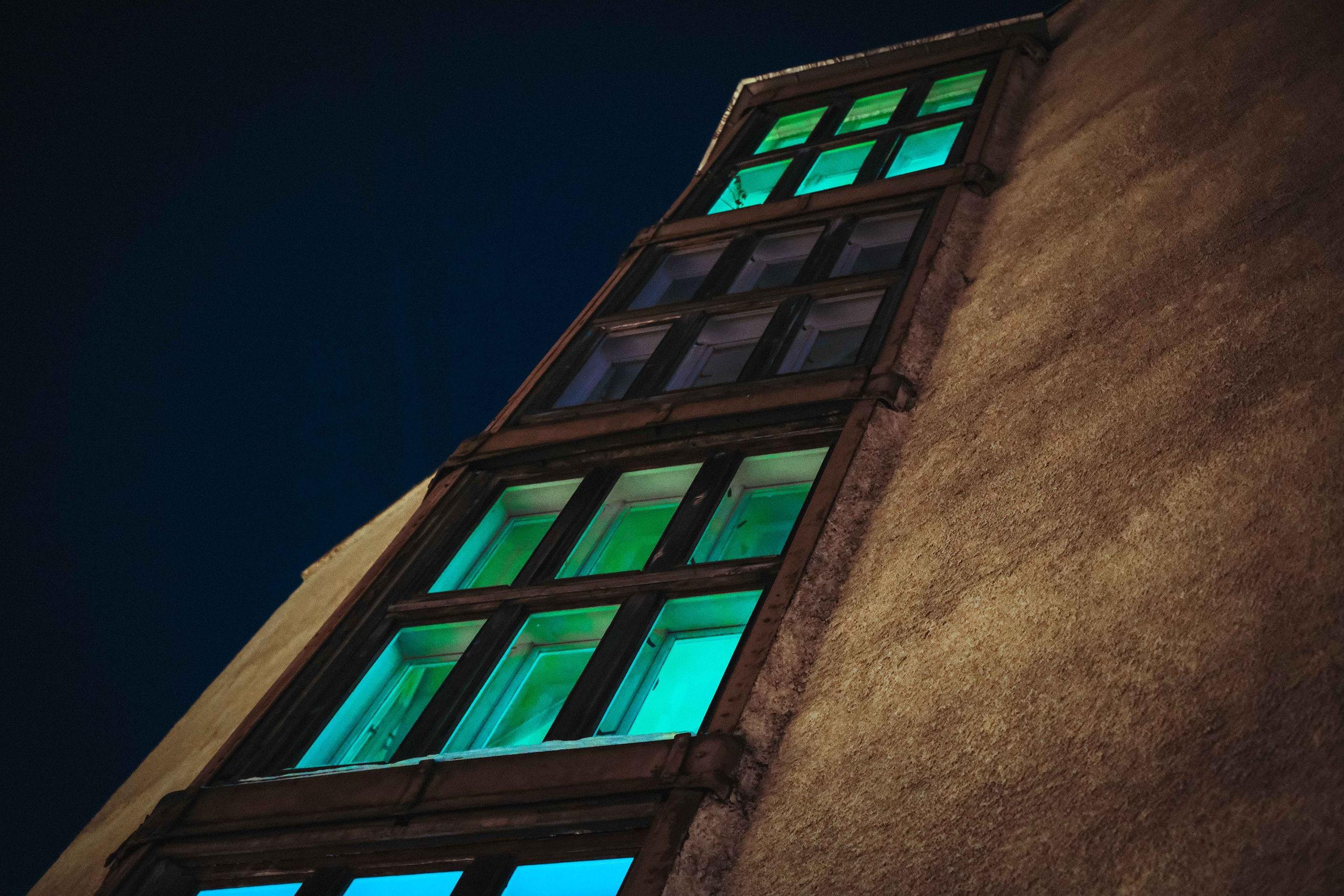 2021.12. Фотограф Алексей Алексеев