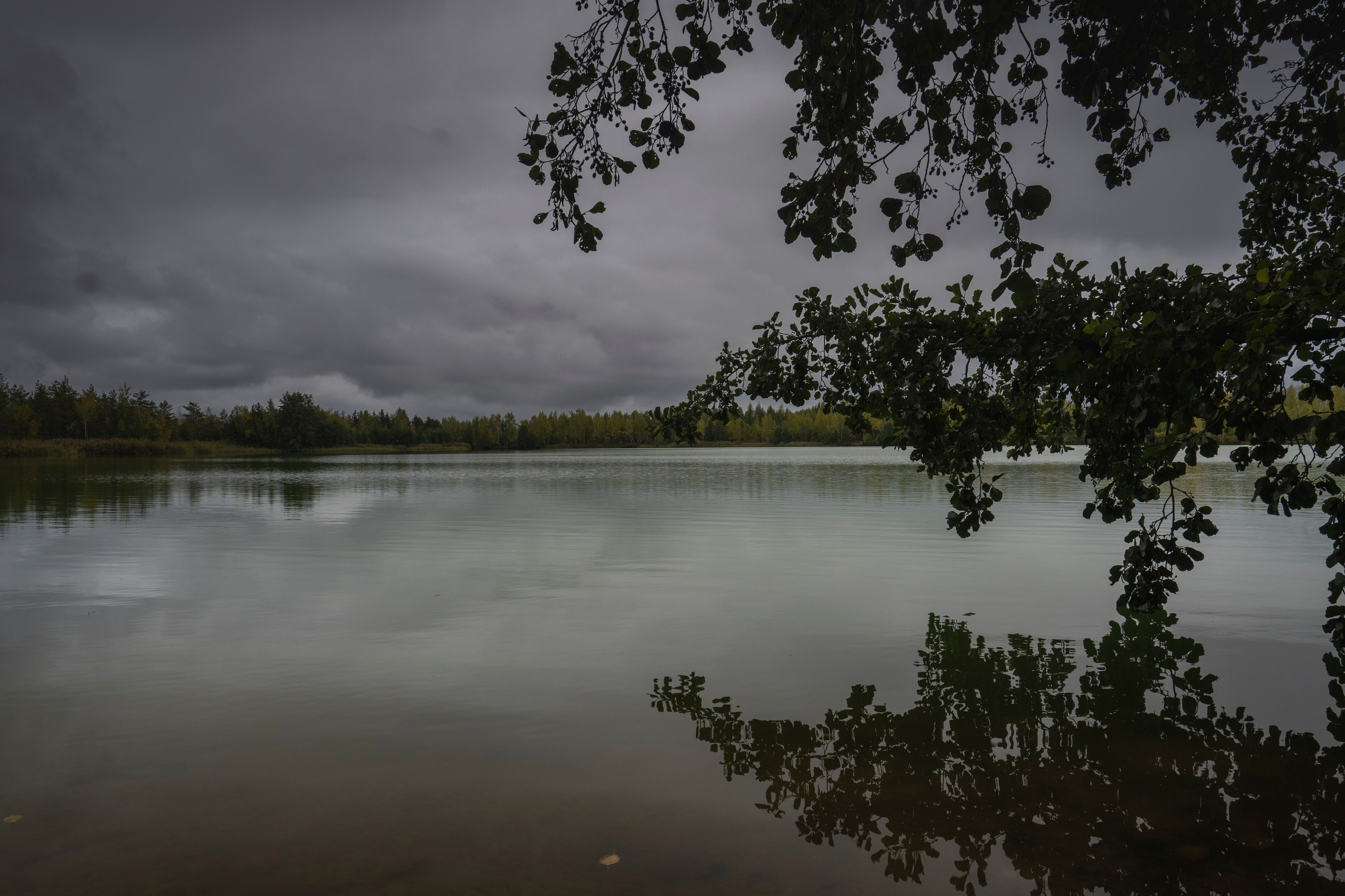 Фотопрогулка ДР. Фотограф Роман Адлер