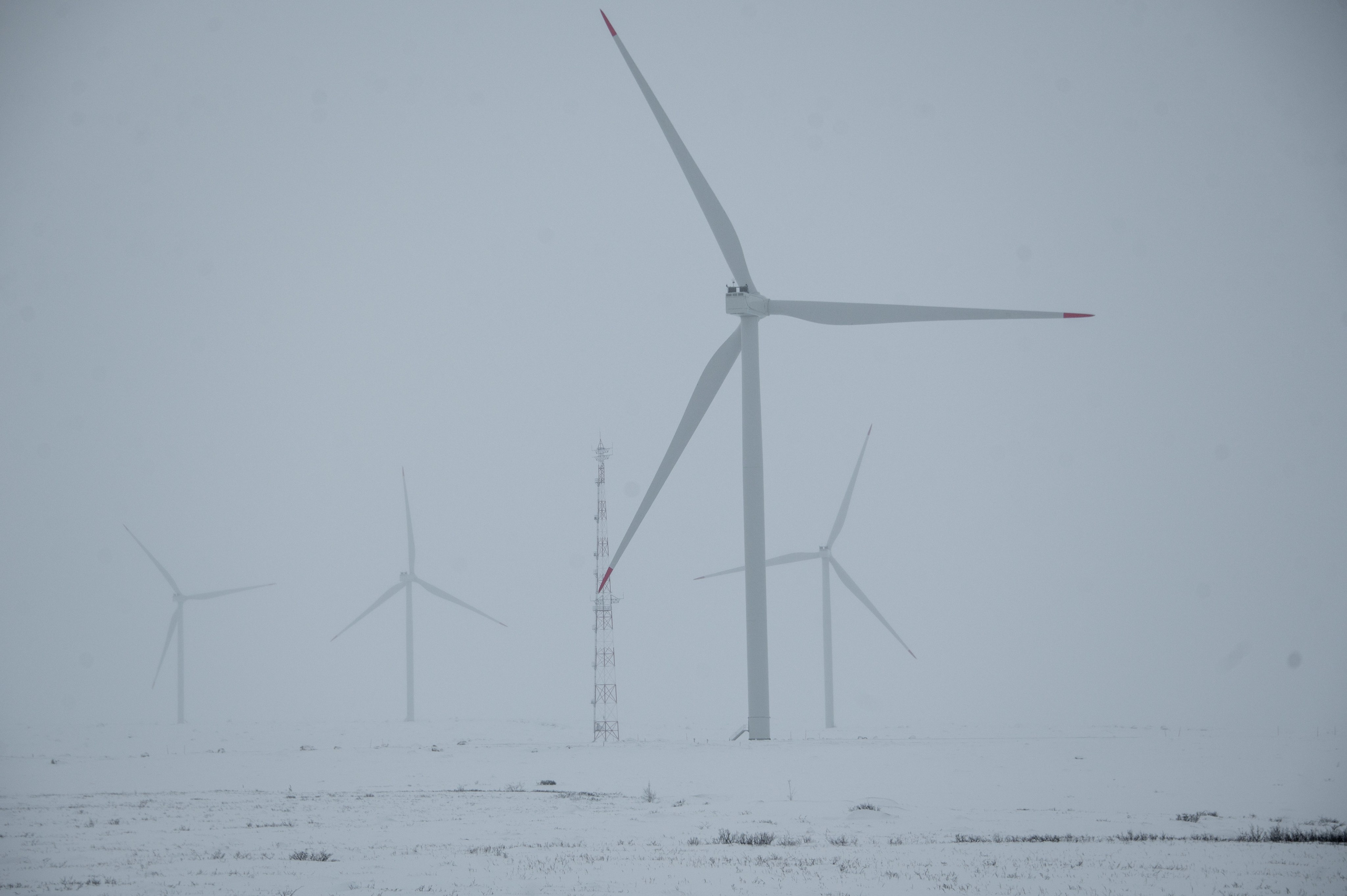 Териберка. Ноябрь 2023. Фотограф Роман Адлер