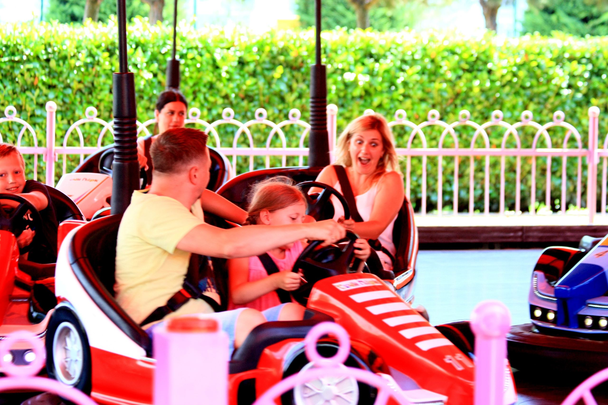 Первые кадры. Сочи — парк. Фотограф Роман Адлер