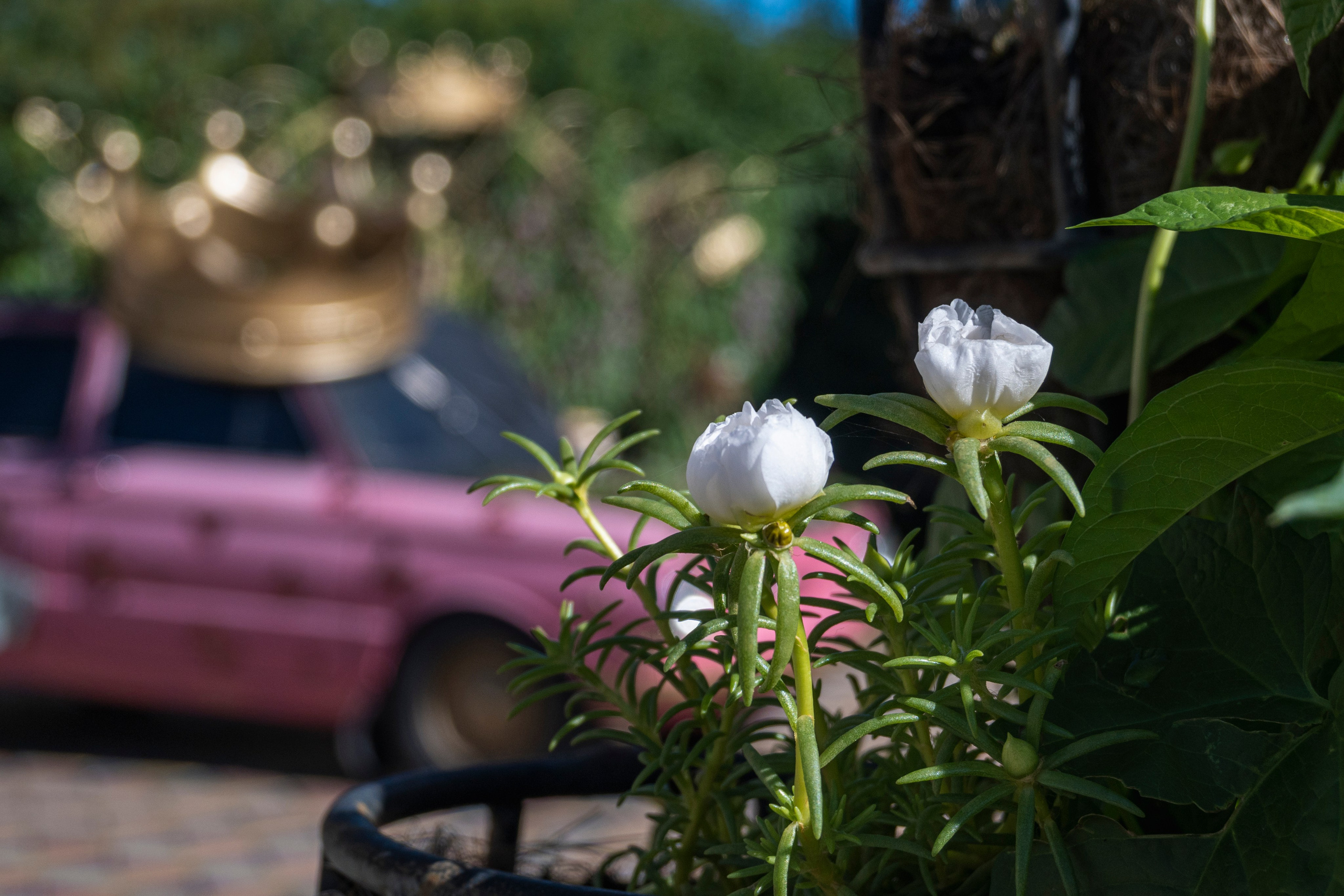 Чита -Москва. Фотограф Роман Адлер