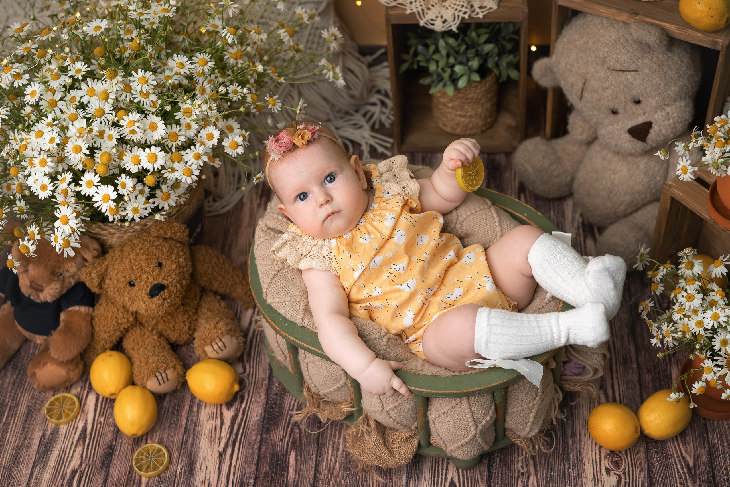 РОМАШКИ 2023. Фотограф новорожденных г. Рязань, детский и семейный фотограф