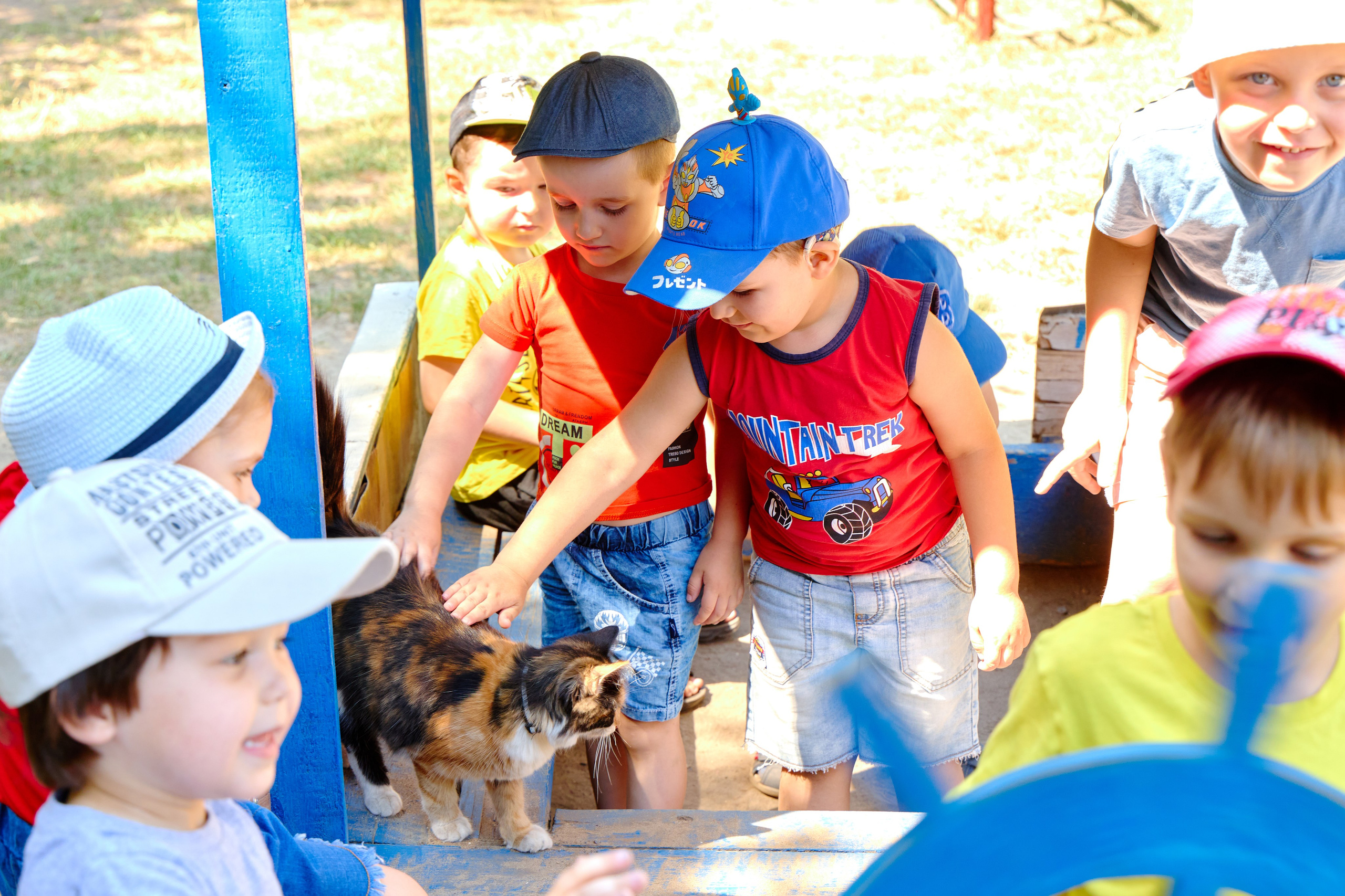 Пример летней съёмки в детском саду № 92 младшая группа Ромашки. Фотограф Выпускные альбомы Таганрог Сергей Коробченко