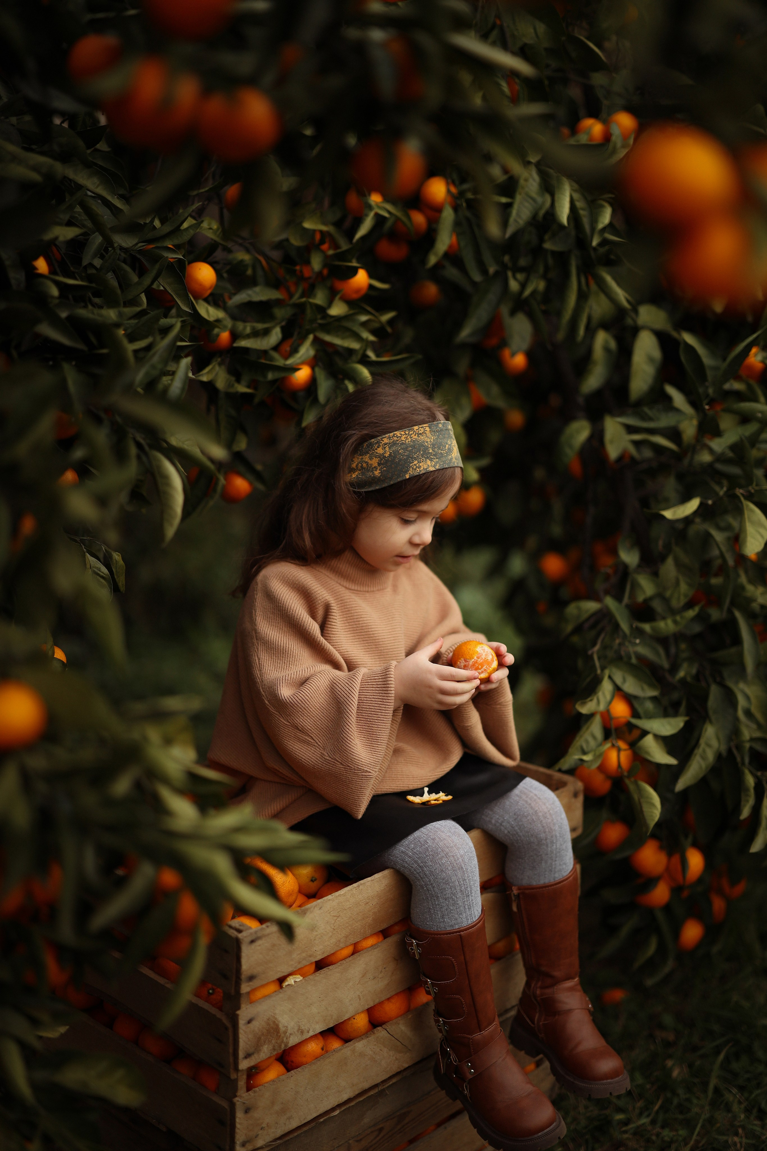 девочка в саду мандаринов , держит мандаринку в руке,  фотосессия в Абхазии , детская фотосессия в Абхазии