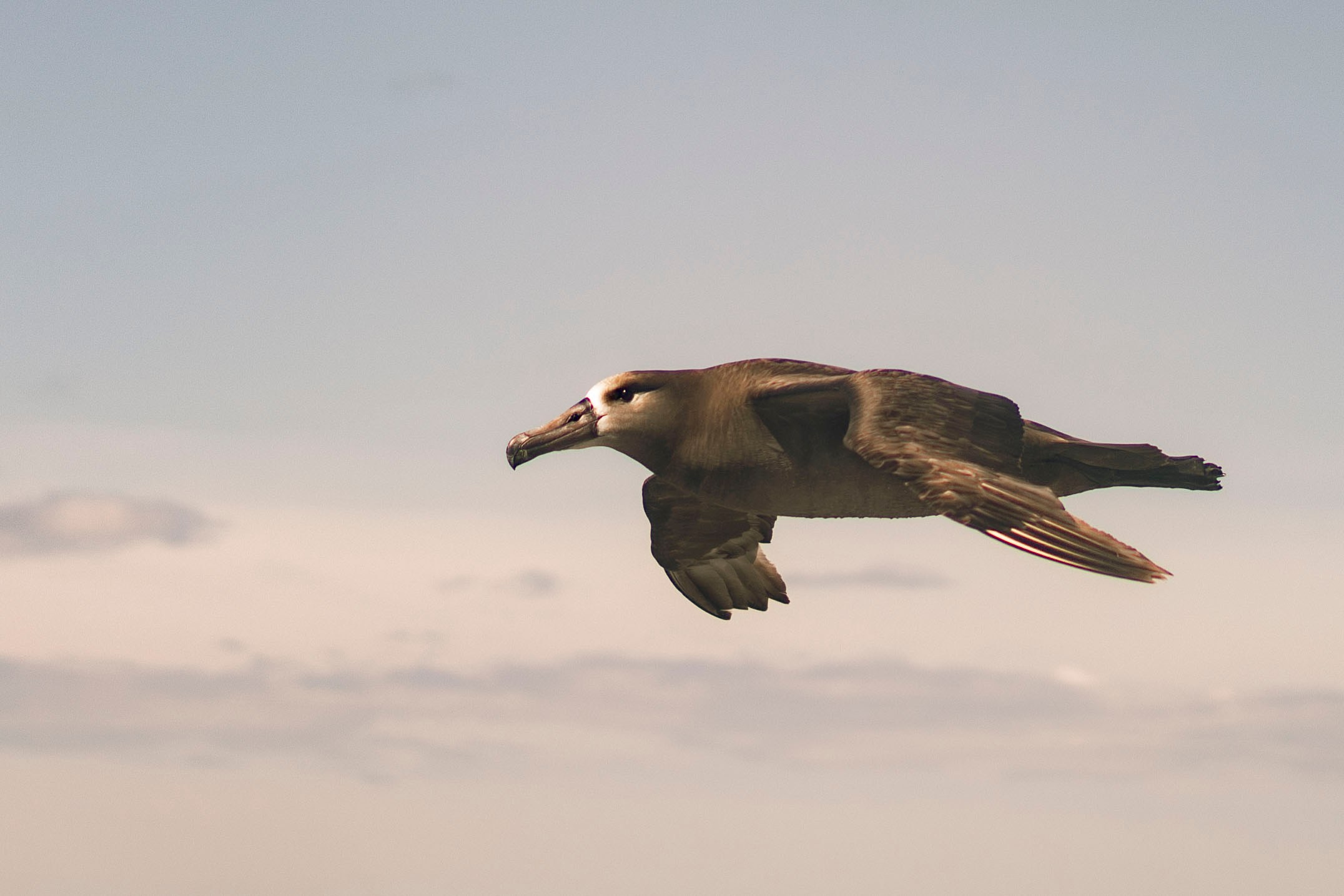 Когда я в море. Часть 1. Фотограф г. Владивосток