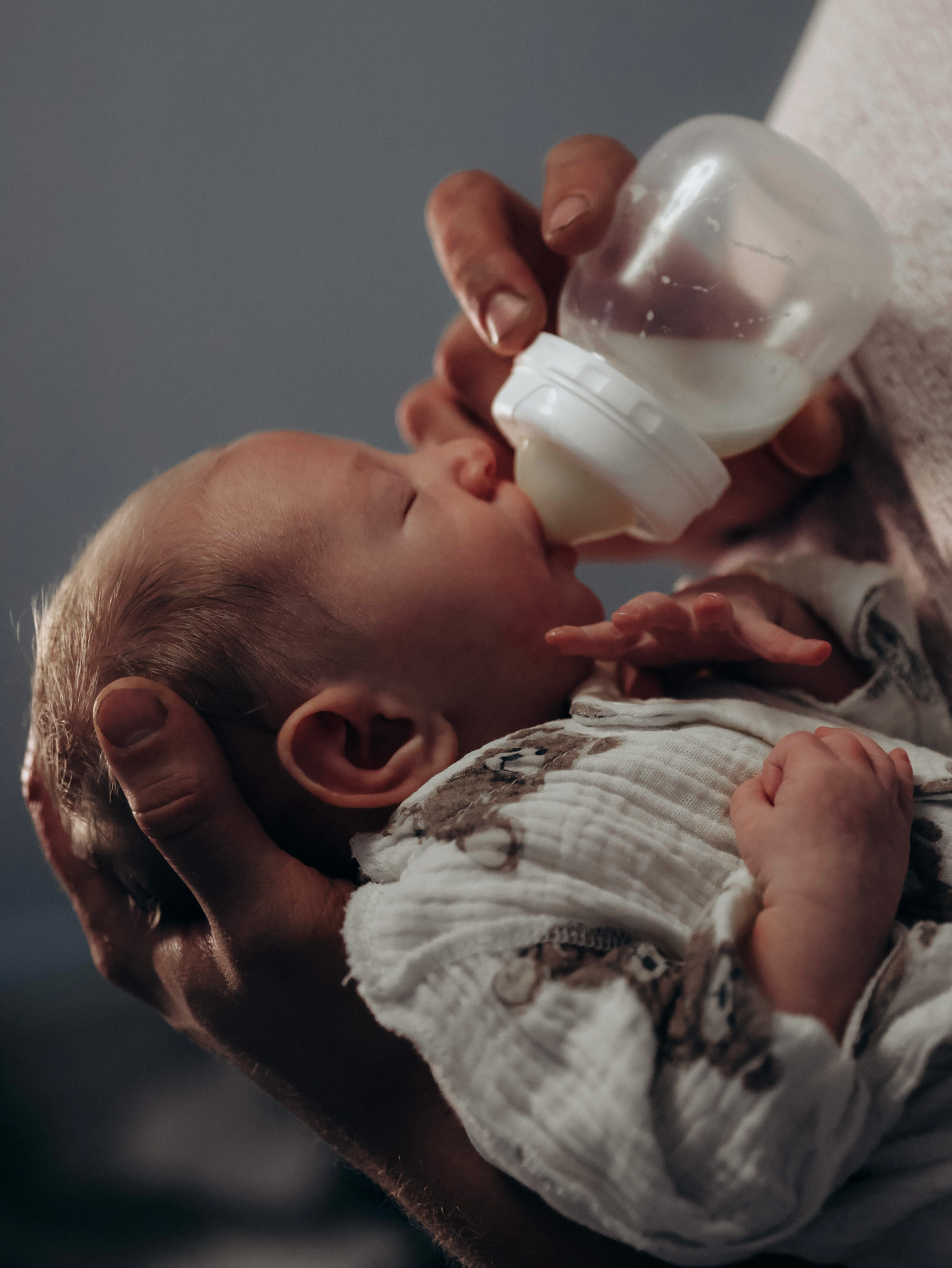 Любовь и котики. Мультифотограф Динара Ахмедзянова