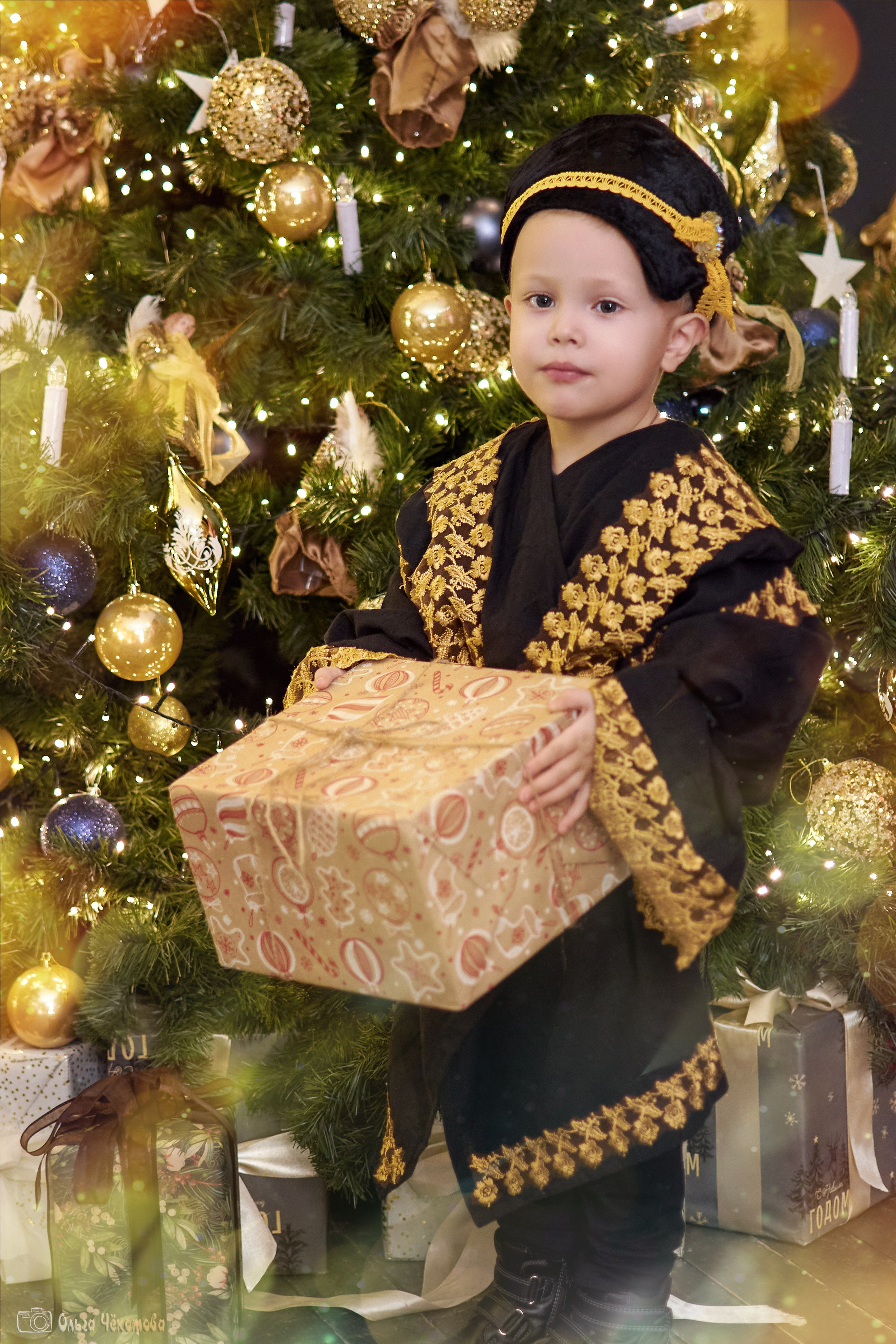 Венецианский карнавал от Хотару Аль-Терна. Ольга Чёкотова (Фотограф Кострома)