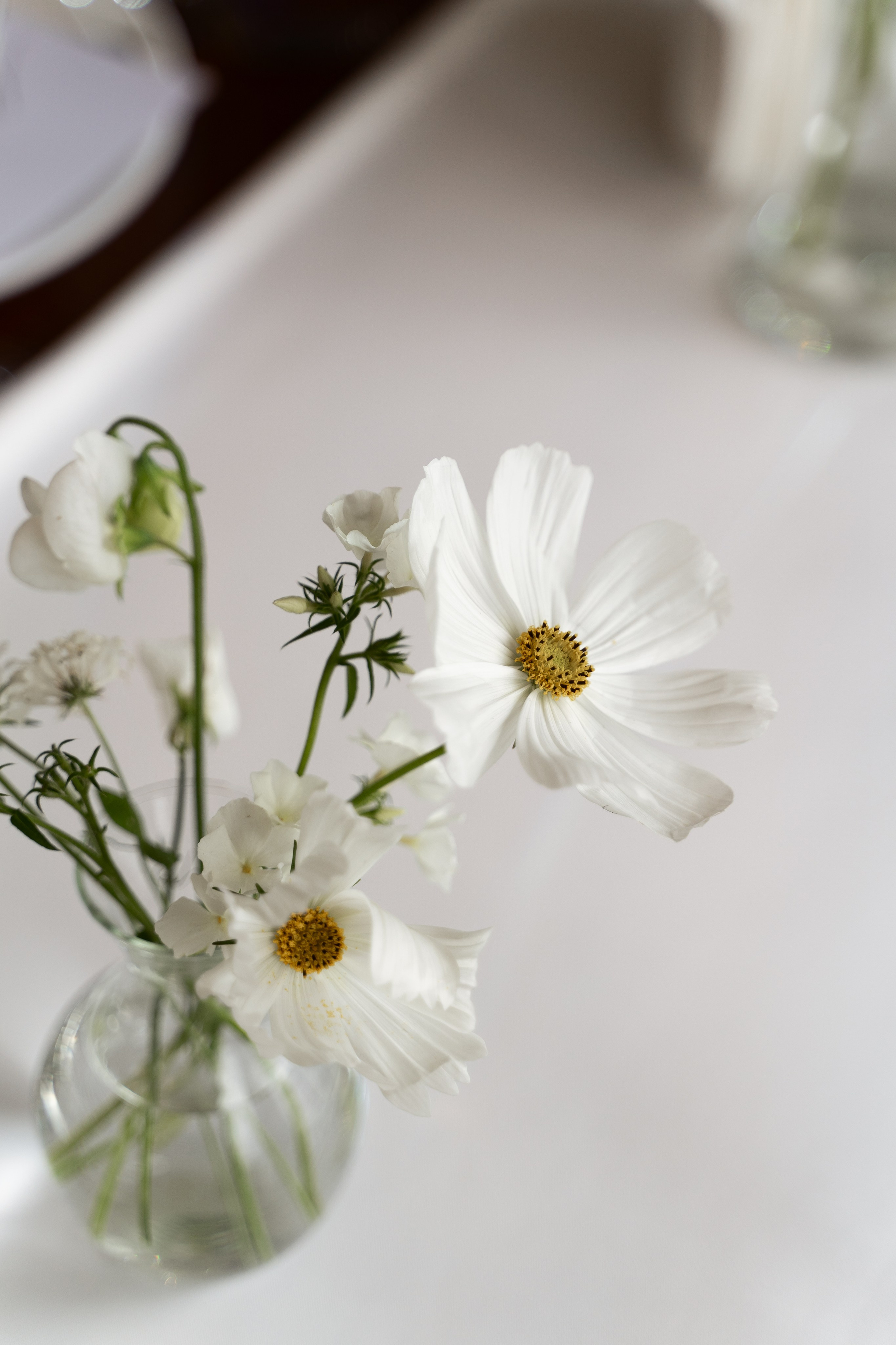 S&N. Фотограф Москва. Екатерина Дударевич