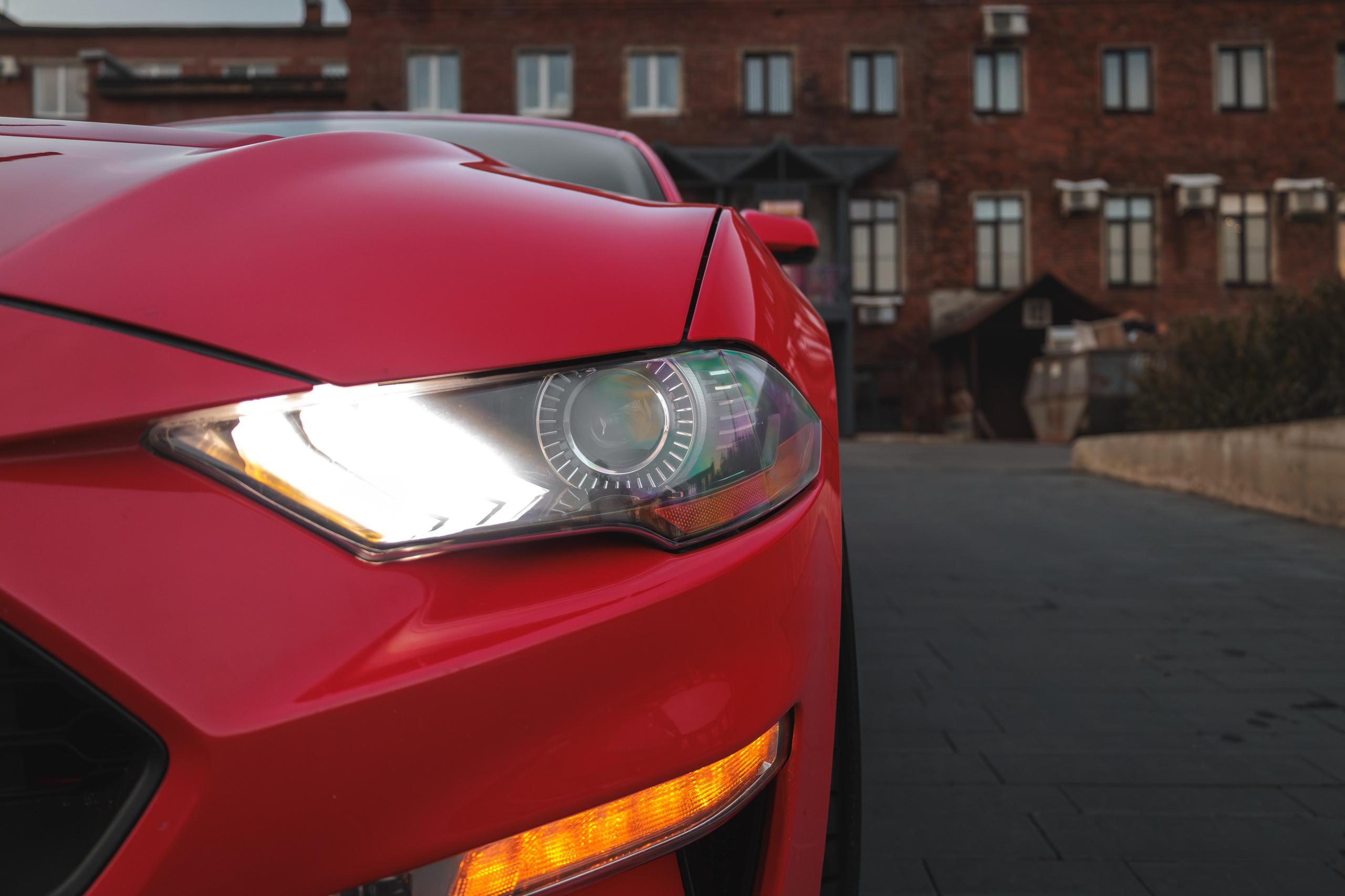 Mustang. Мелехов Дмитрий|Фотограф|Видеограф