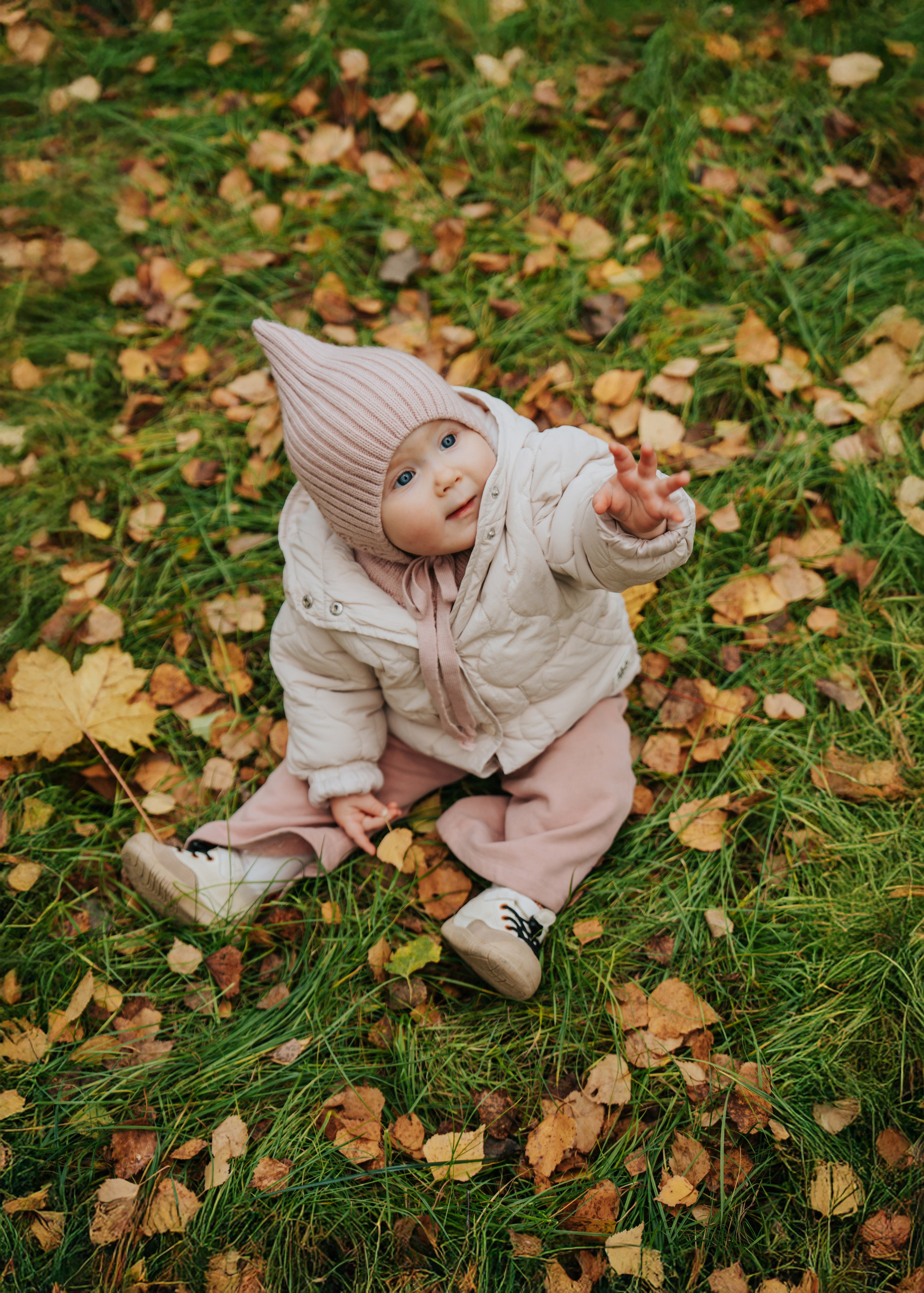 Первая осень