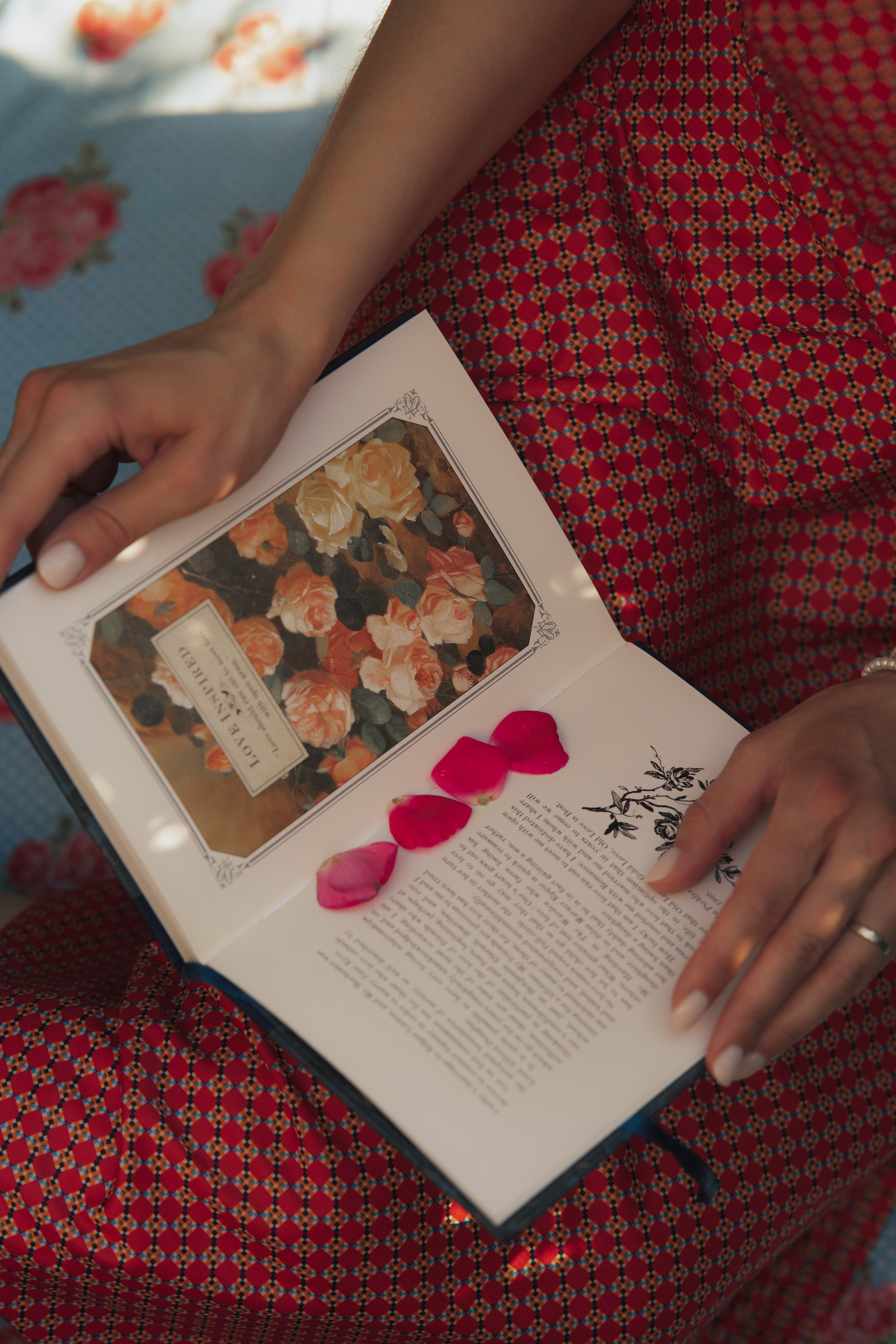 Розы. Фотограф Мария Зайчик