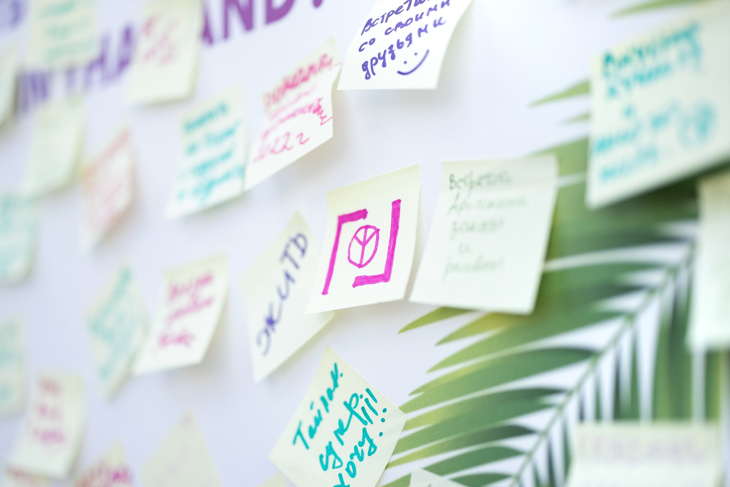 Thai Festival 2022. Kirillova Studio — мастерская декора и событий Юли Кирилловой