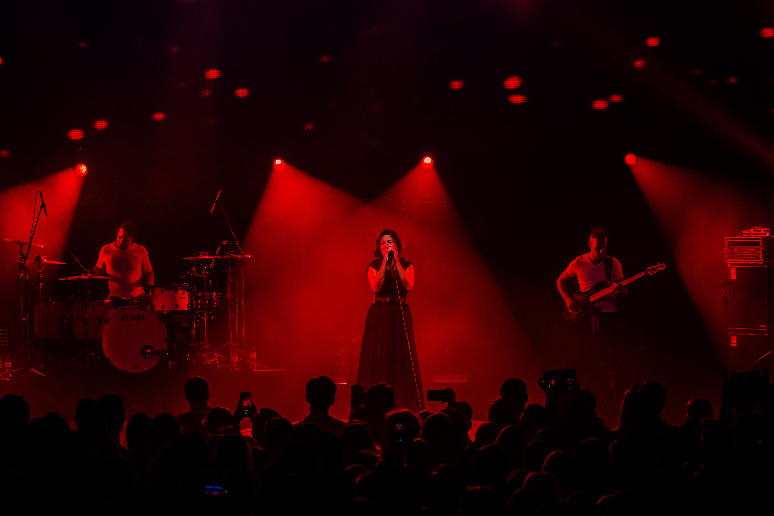 Мельница. Фотограф Сонкина Татьяна