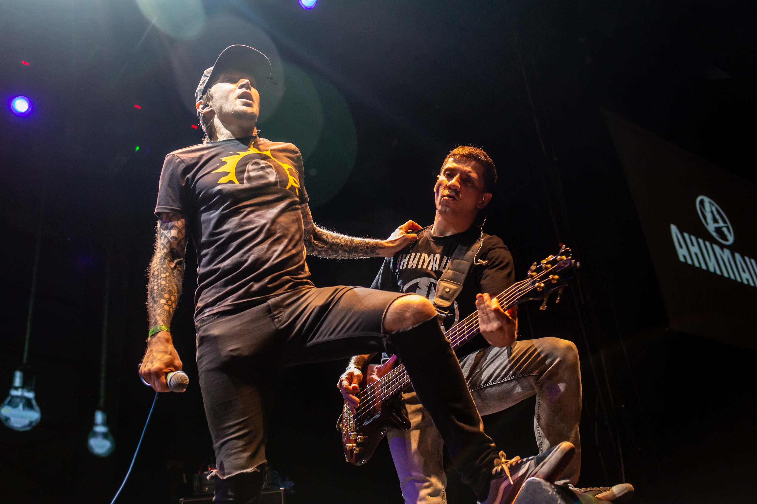 АнимациЯ. Photographer Sonkina Tatiana (Tanya Ash)