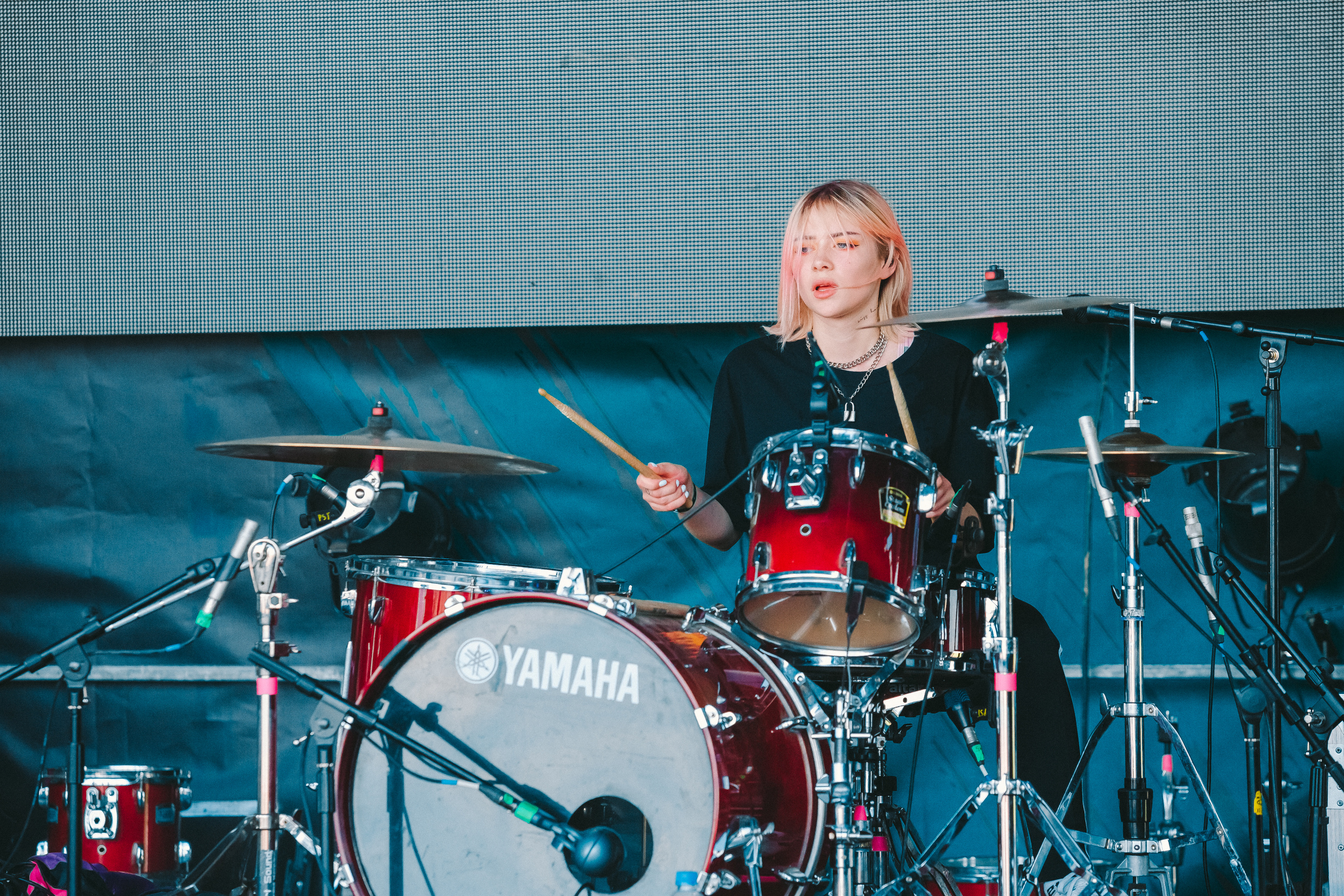 Кис-Кис. Фотограф Сонкина Татьяна