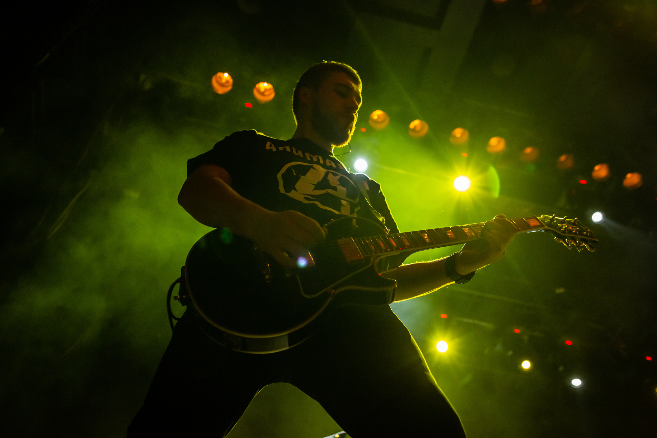 АнимациЯ. Photographer Sonkina Tatiana (Tanya Ash)