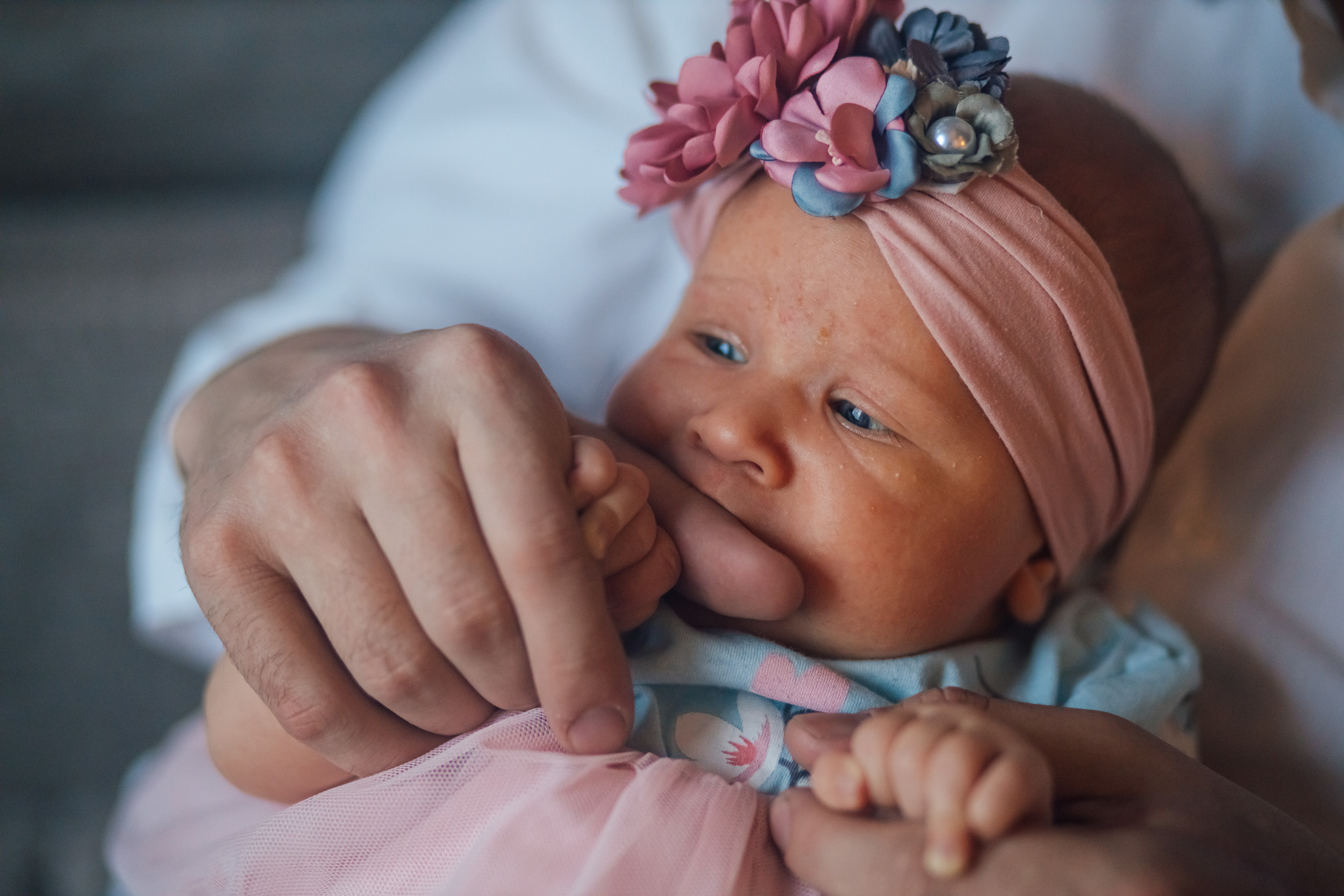 Домашние. Аlina Slavina Photorgaphy