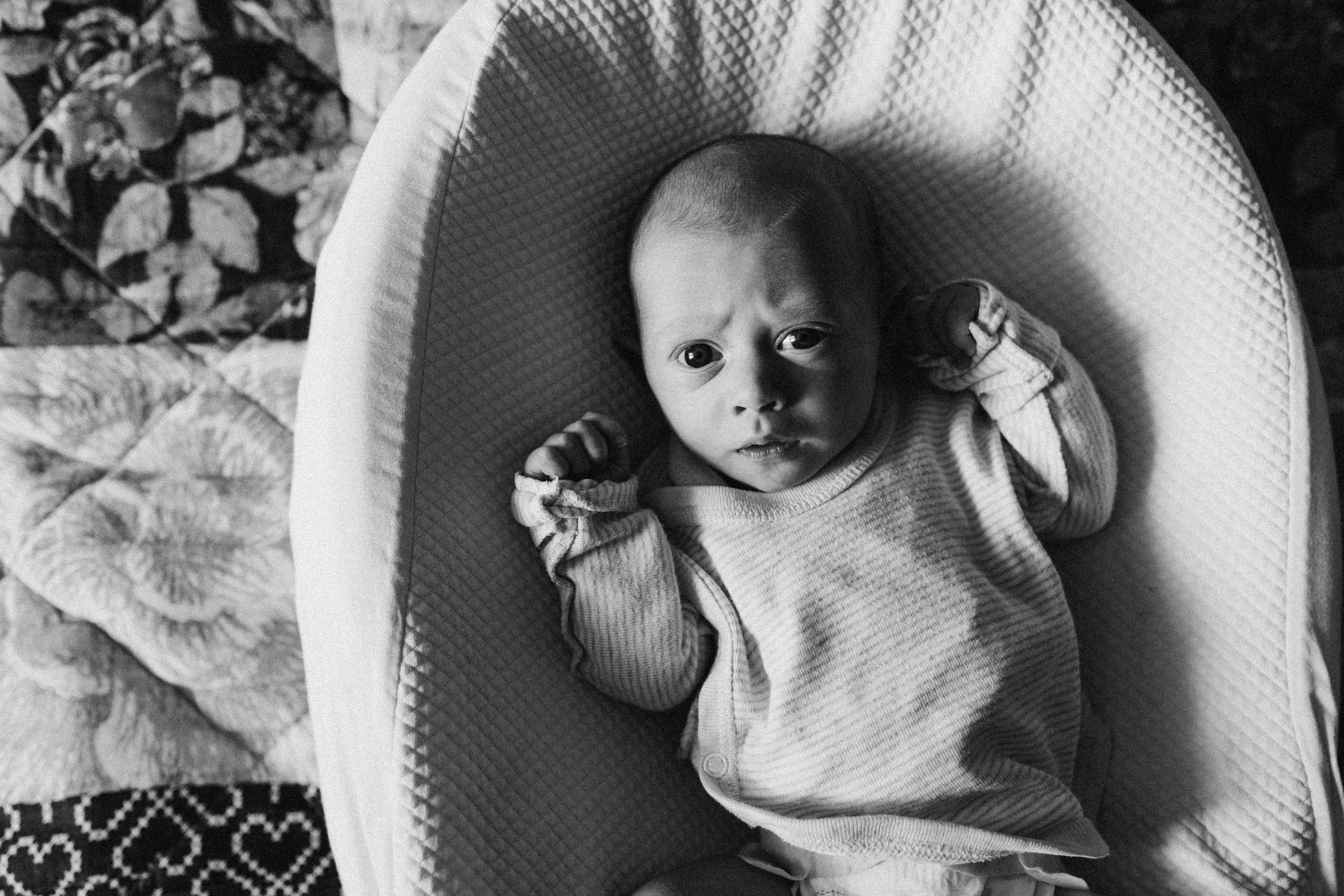 Домашние. Аlina Slavina Photorgaphy