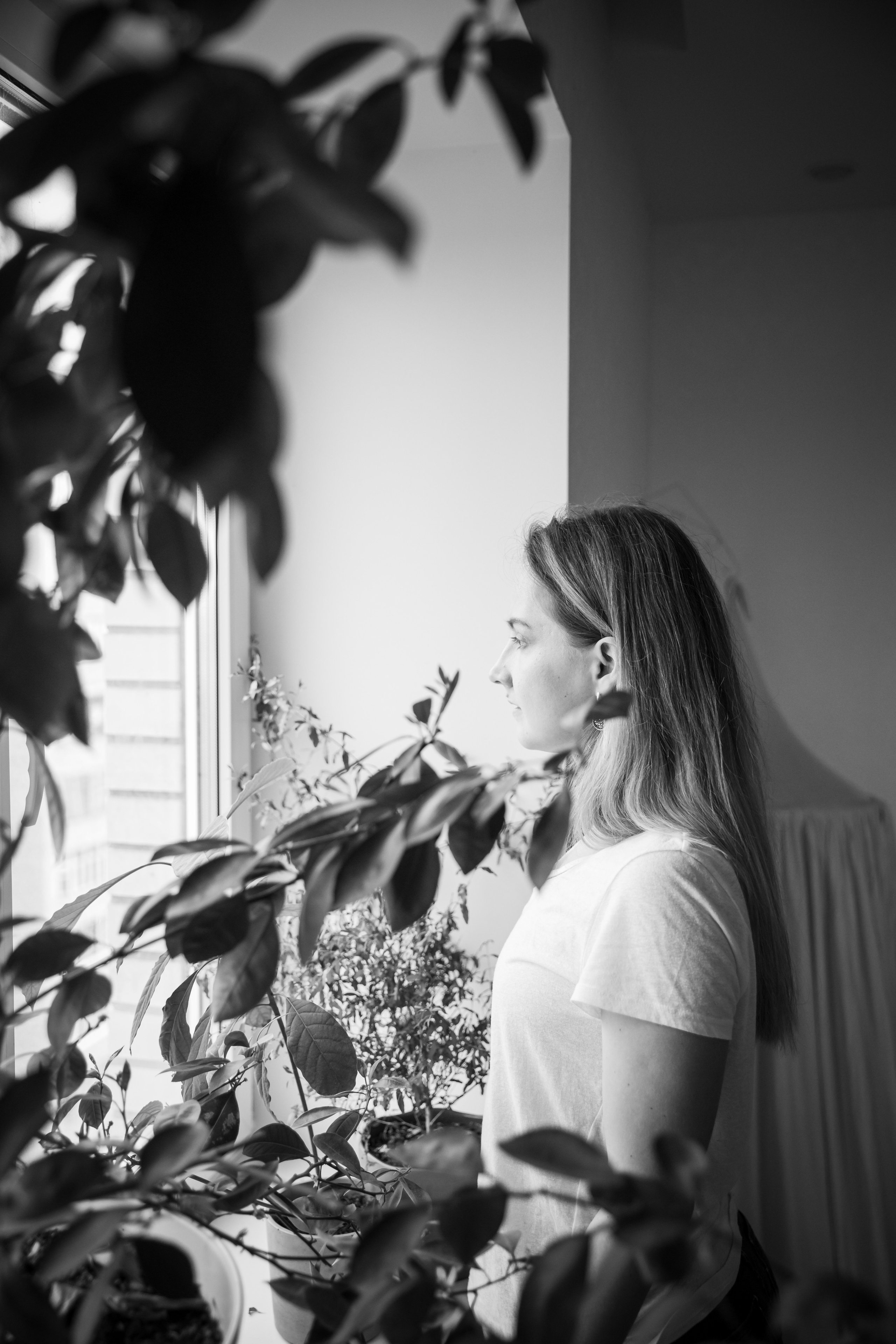 Домашние. Аlina Slavina Photorgaphy