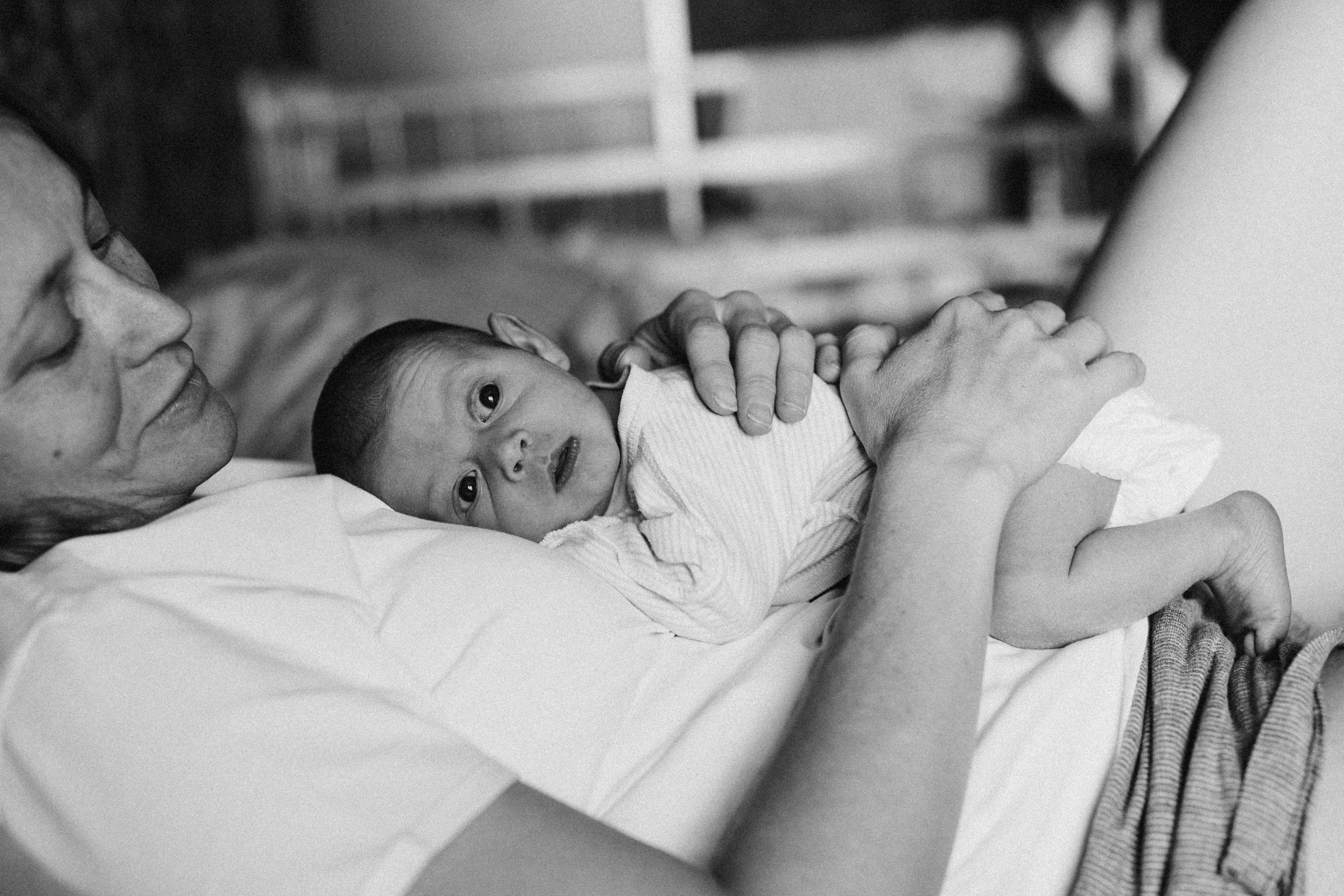 Домашние. Аlina Slavina Photorgaphy