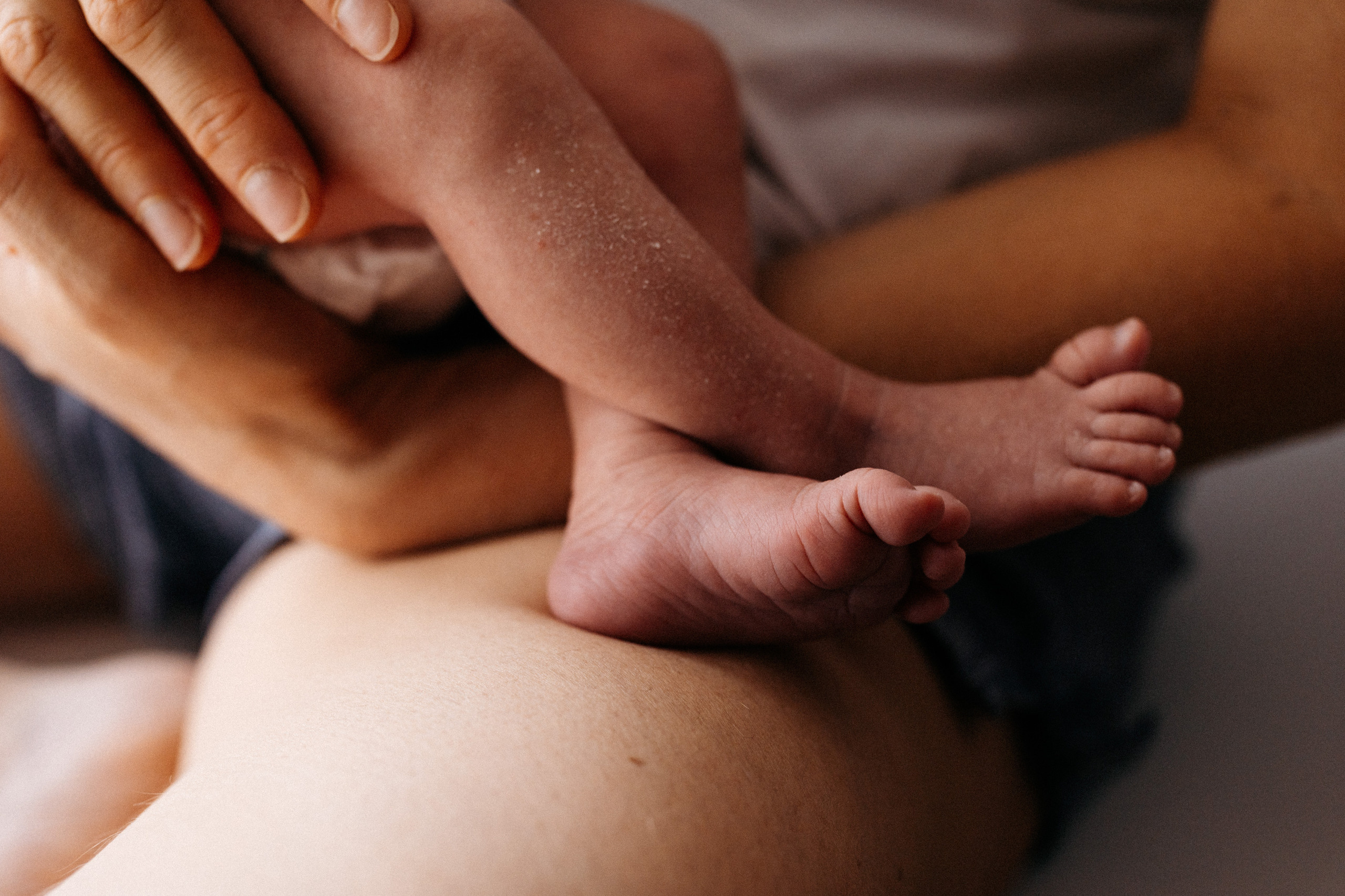 Домашние. Аlina Slavina Photorgaphy