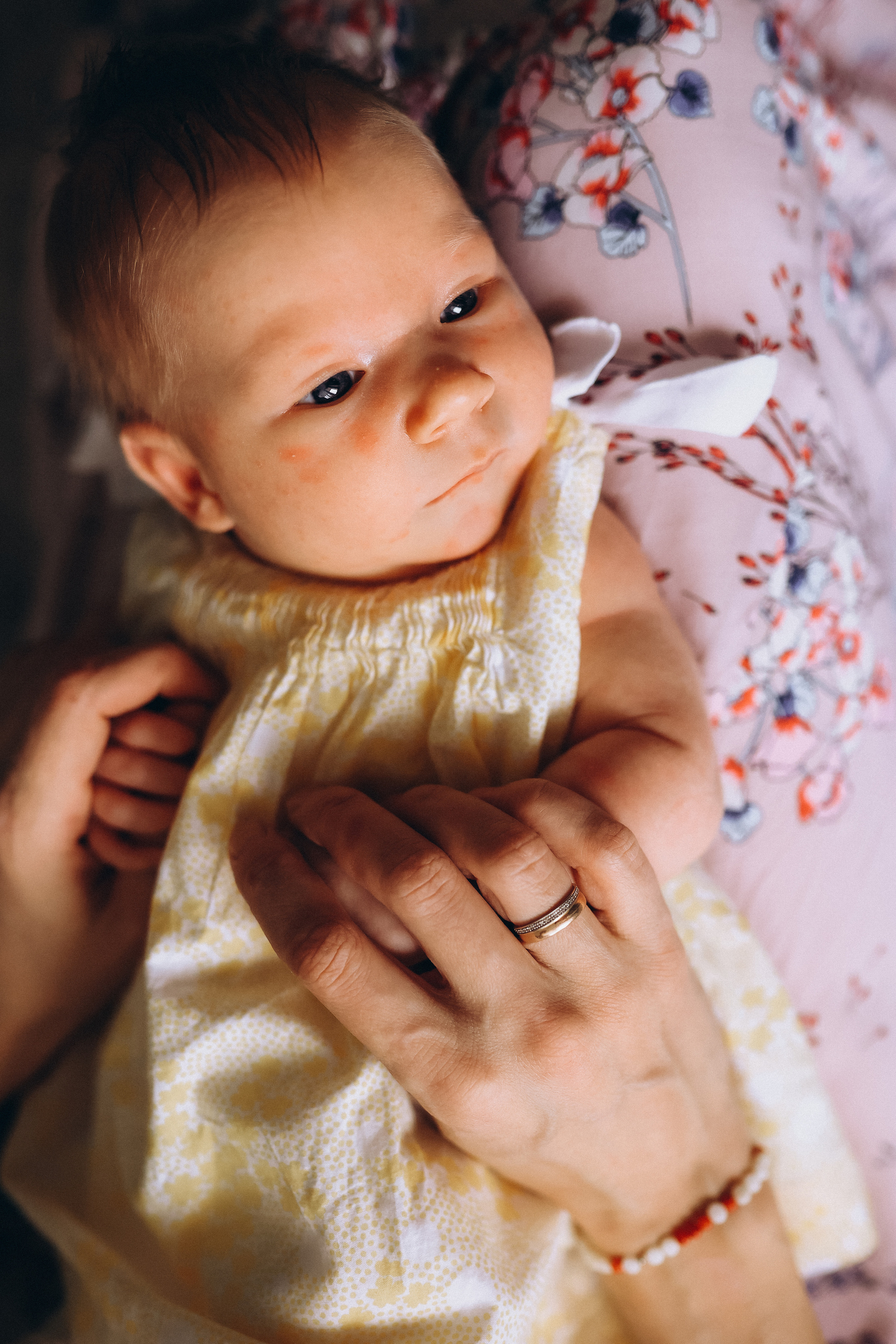 Домашние. Аlina Slavina Photorgaphy