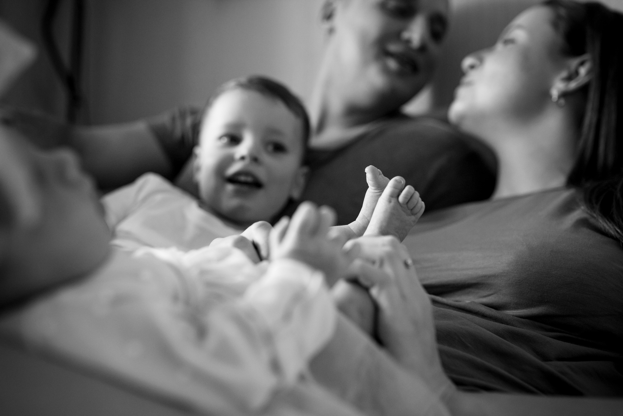 Домашние. Аlina Slavina Photorgaphy