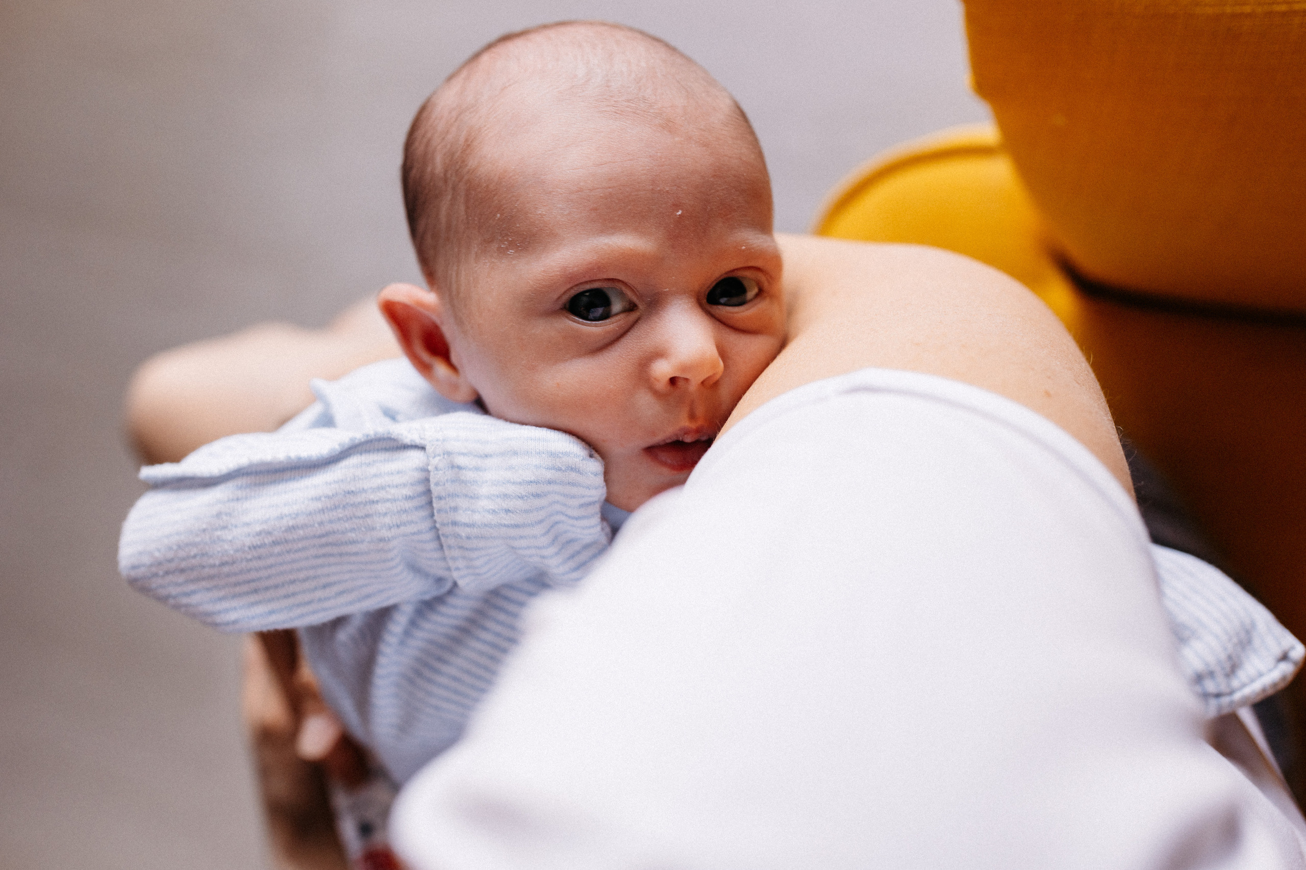 Домашние. Аlina Slavina Photorgaphy