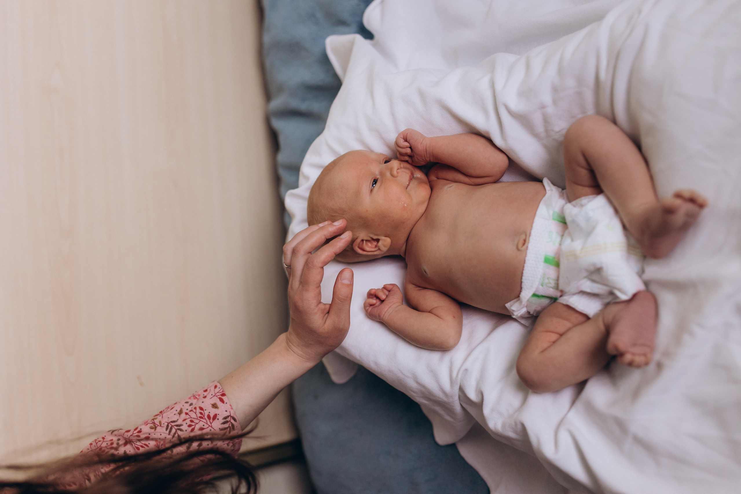 Домашние. Аlina Slavina Photorgaphy