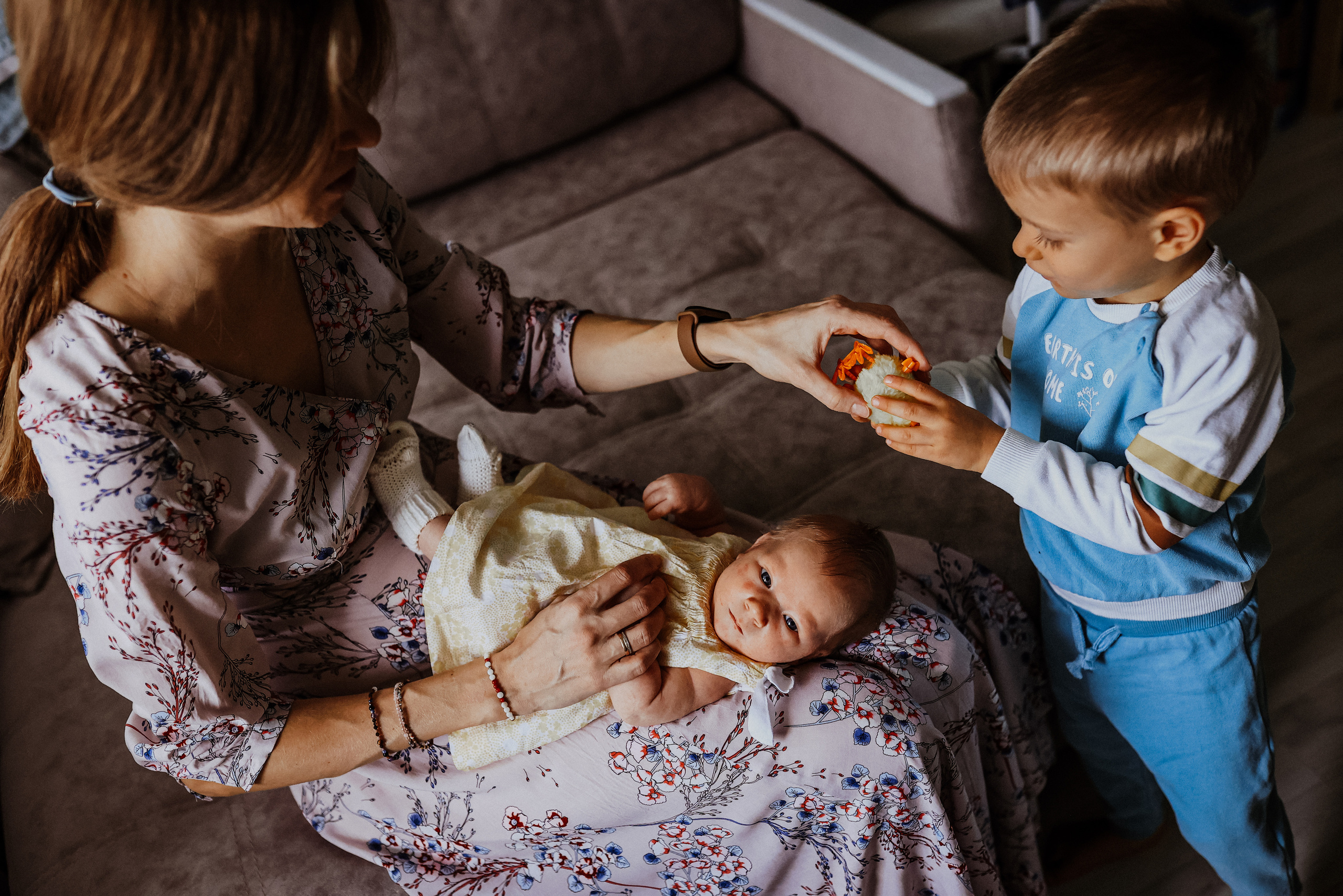 Домашние. Аlina Slavina Photorgaphy