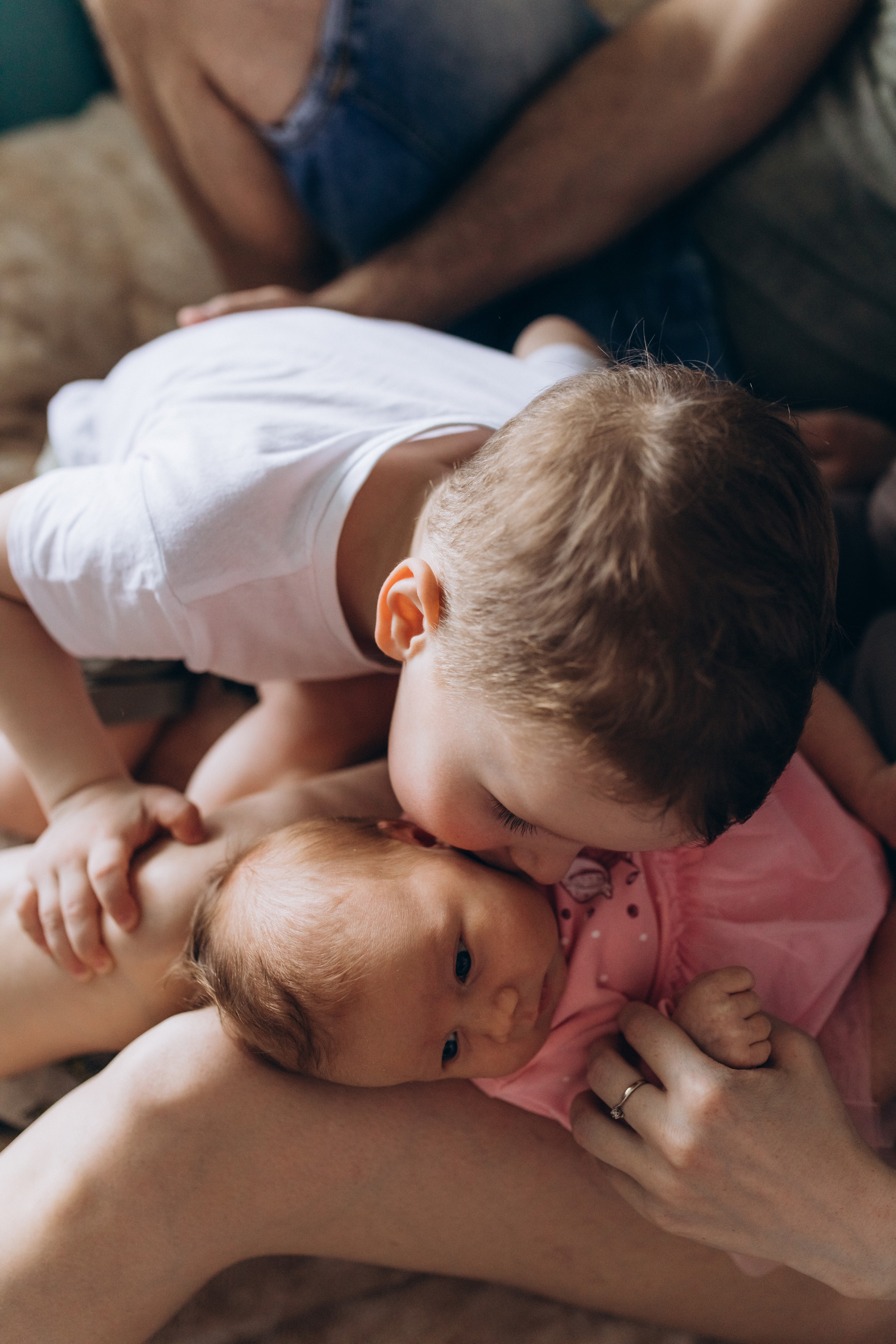 Домашние. Аlina Slavina Photorgaphy