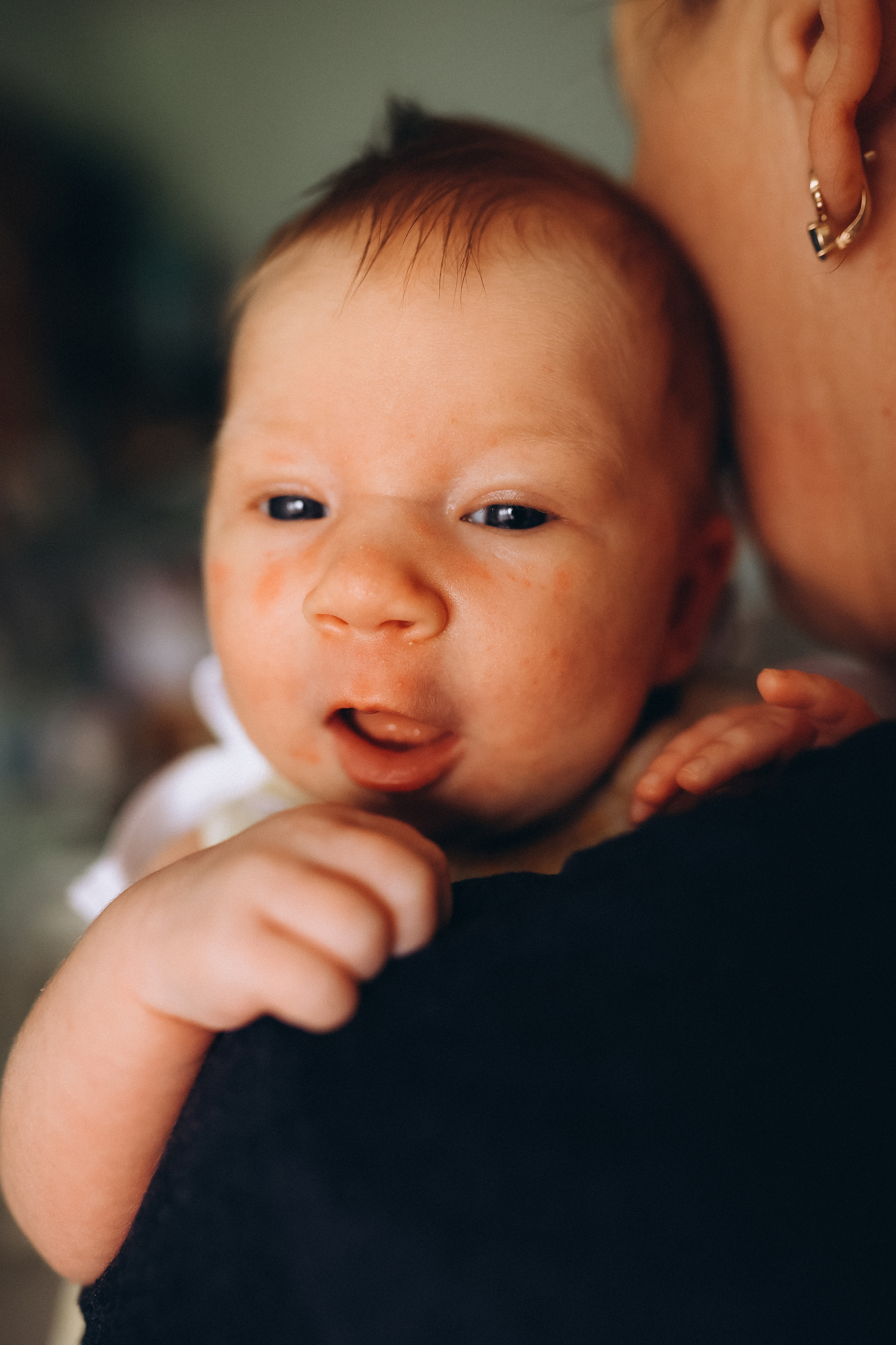 Домашние. Аlina Slavina Photorgaphy