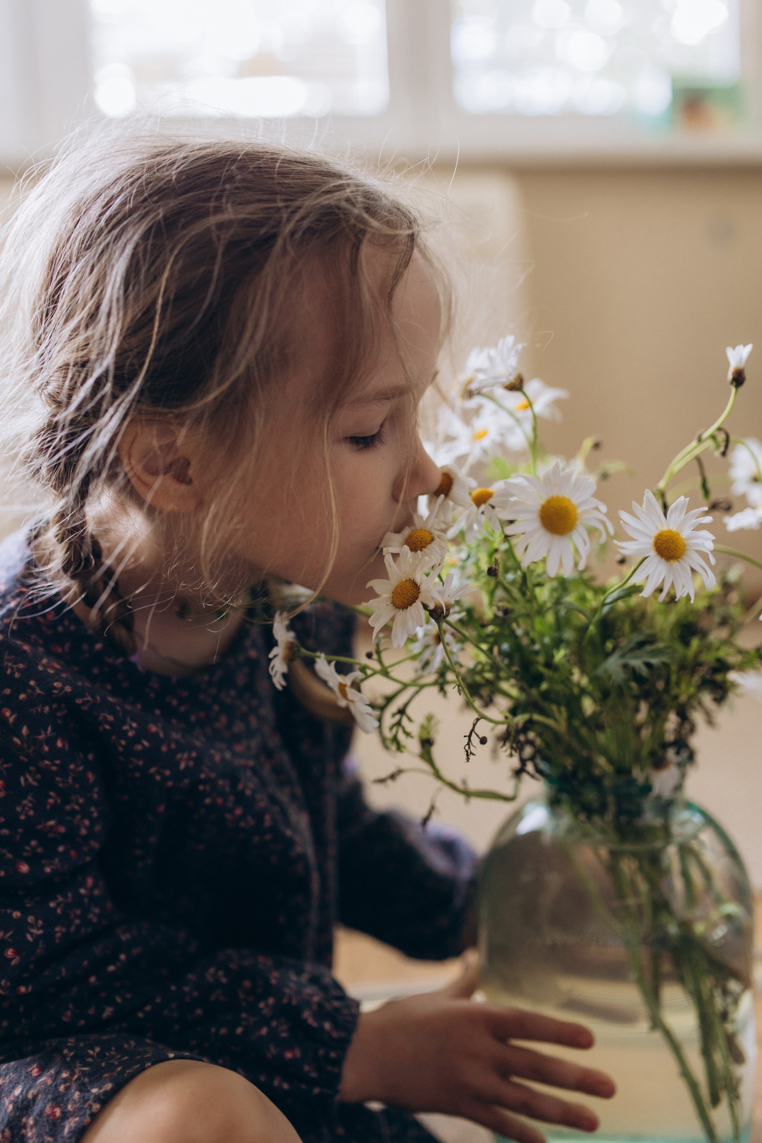 Домашние. Аlina Slavina Photorgaphy