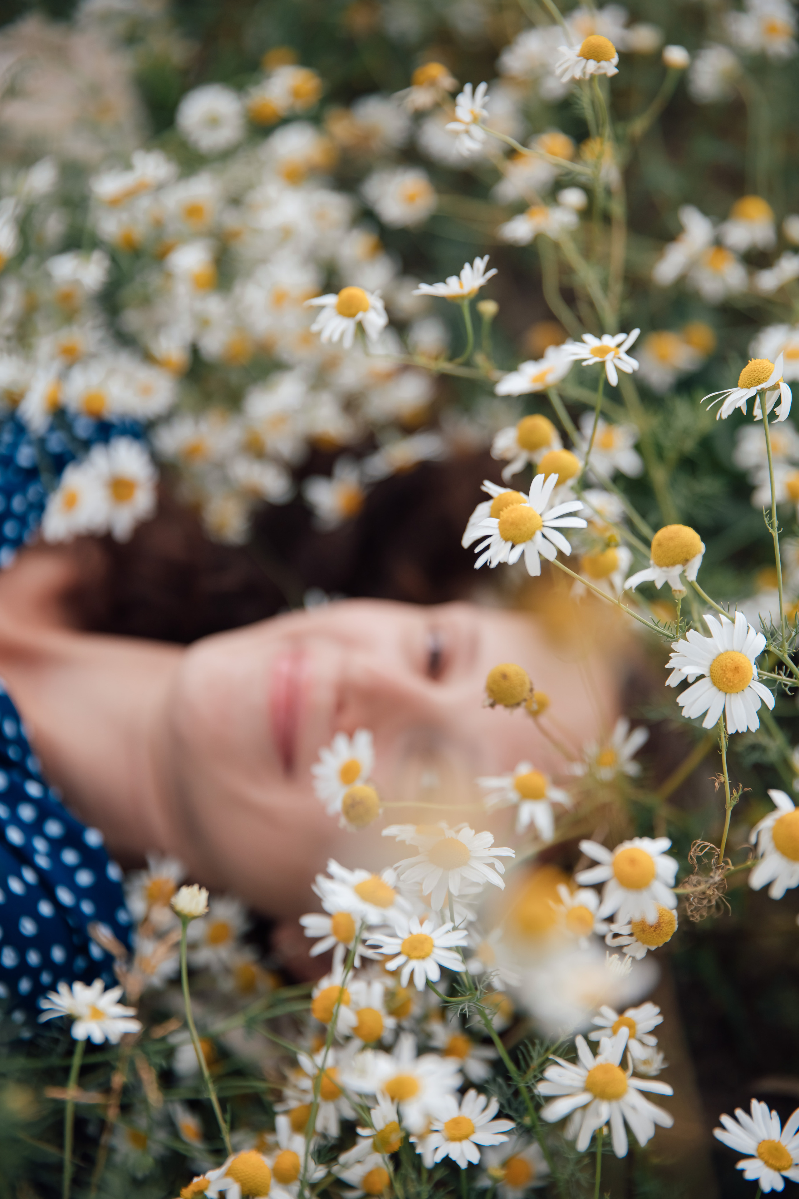 Цветение. Аlina Slavina Photorgaphy