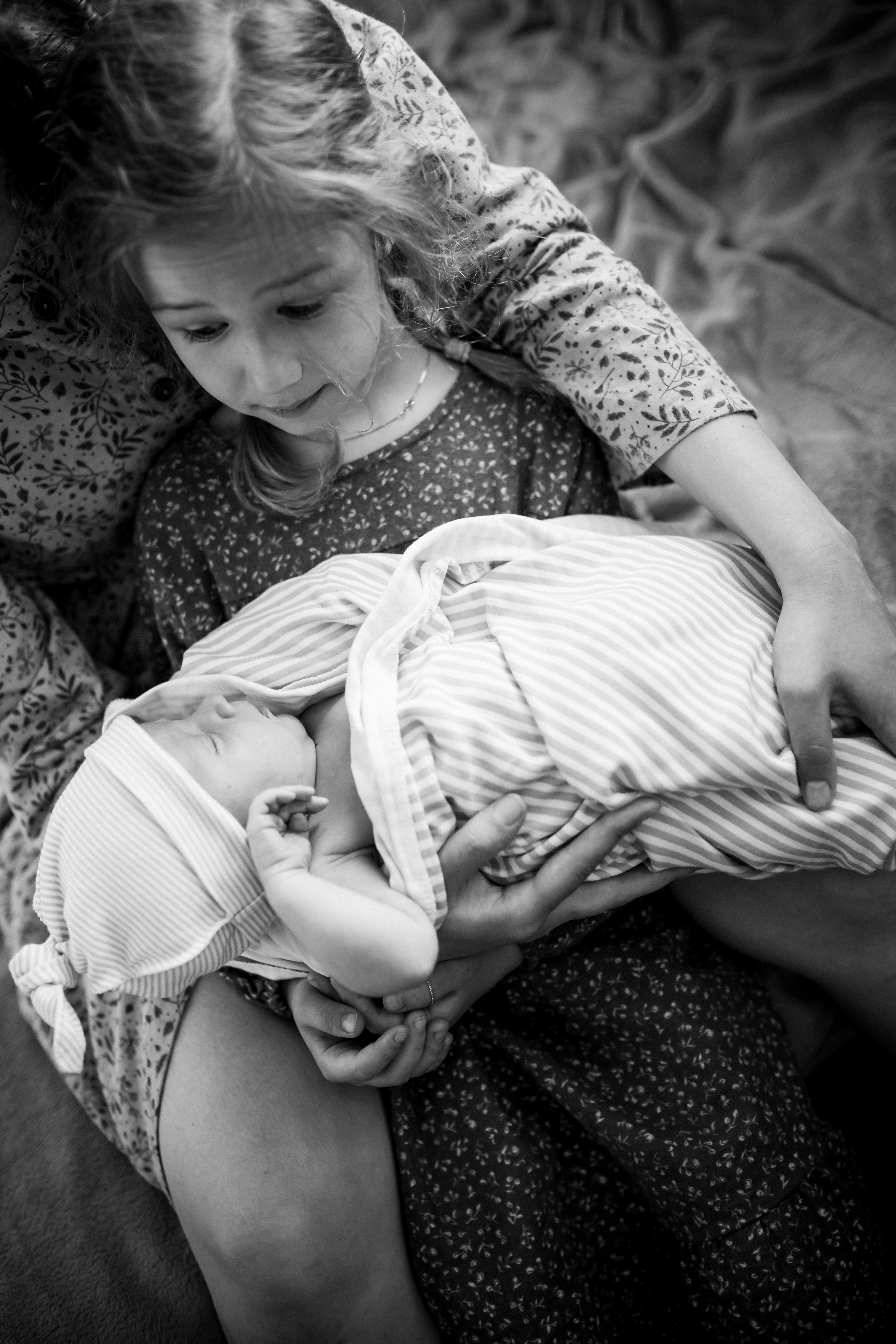 Домашние. Аlina Slavina Photorgaphy