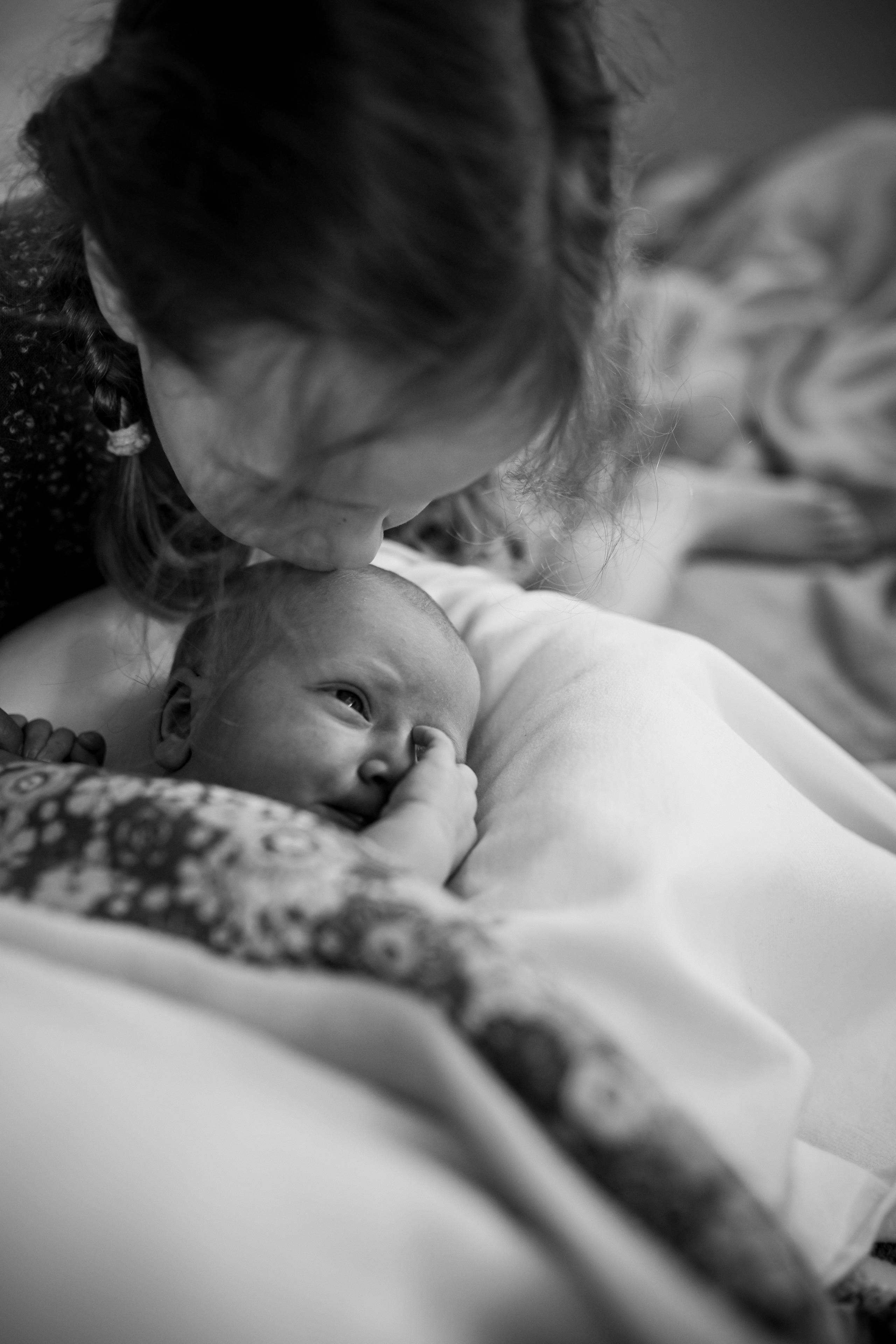 Домашние. Аlina Slavina Photorgaphy