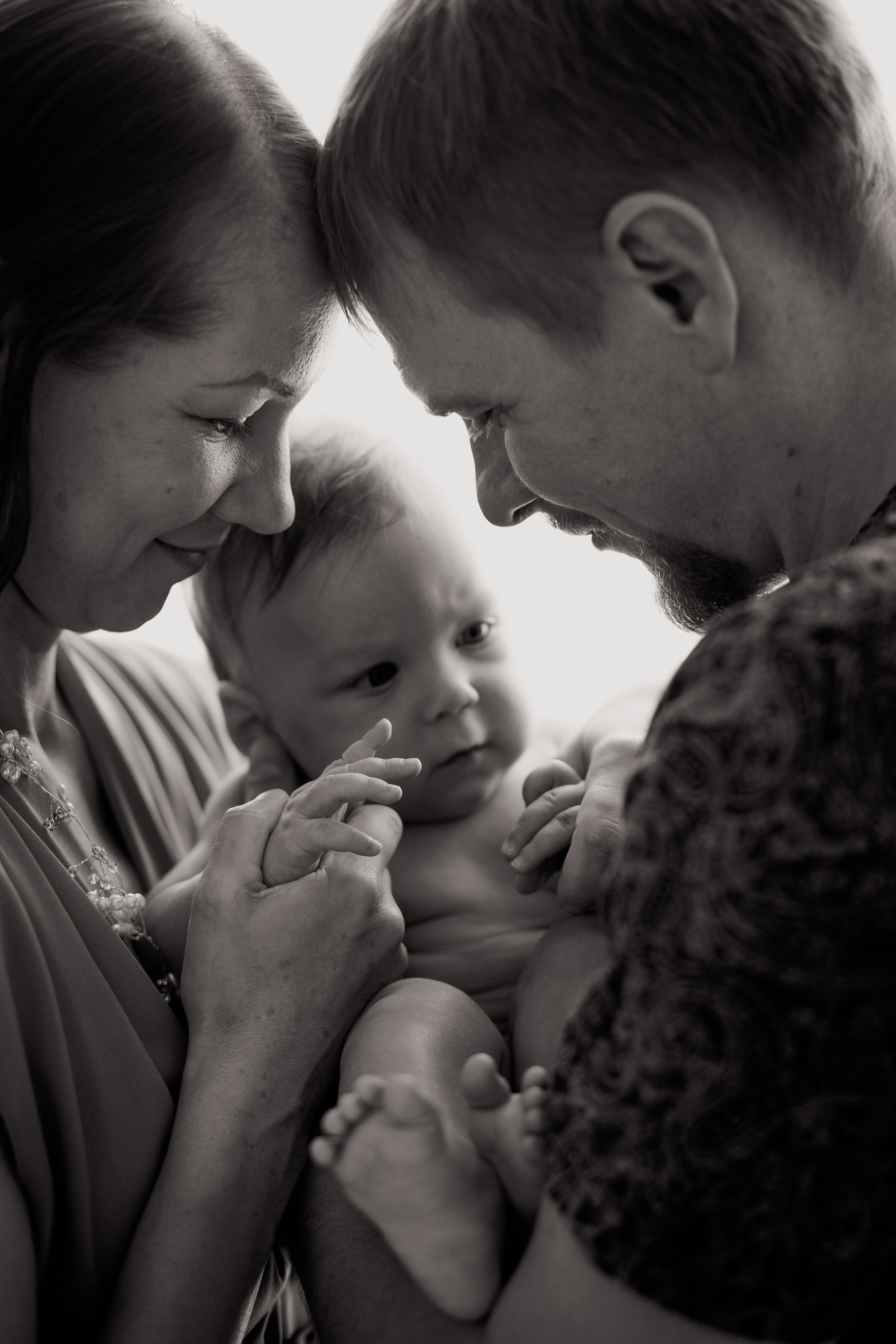 Домашние. Аlina Slavina Photorgaphy