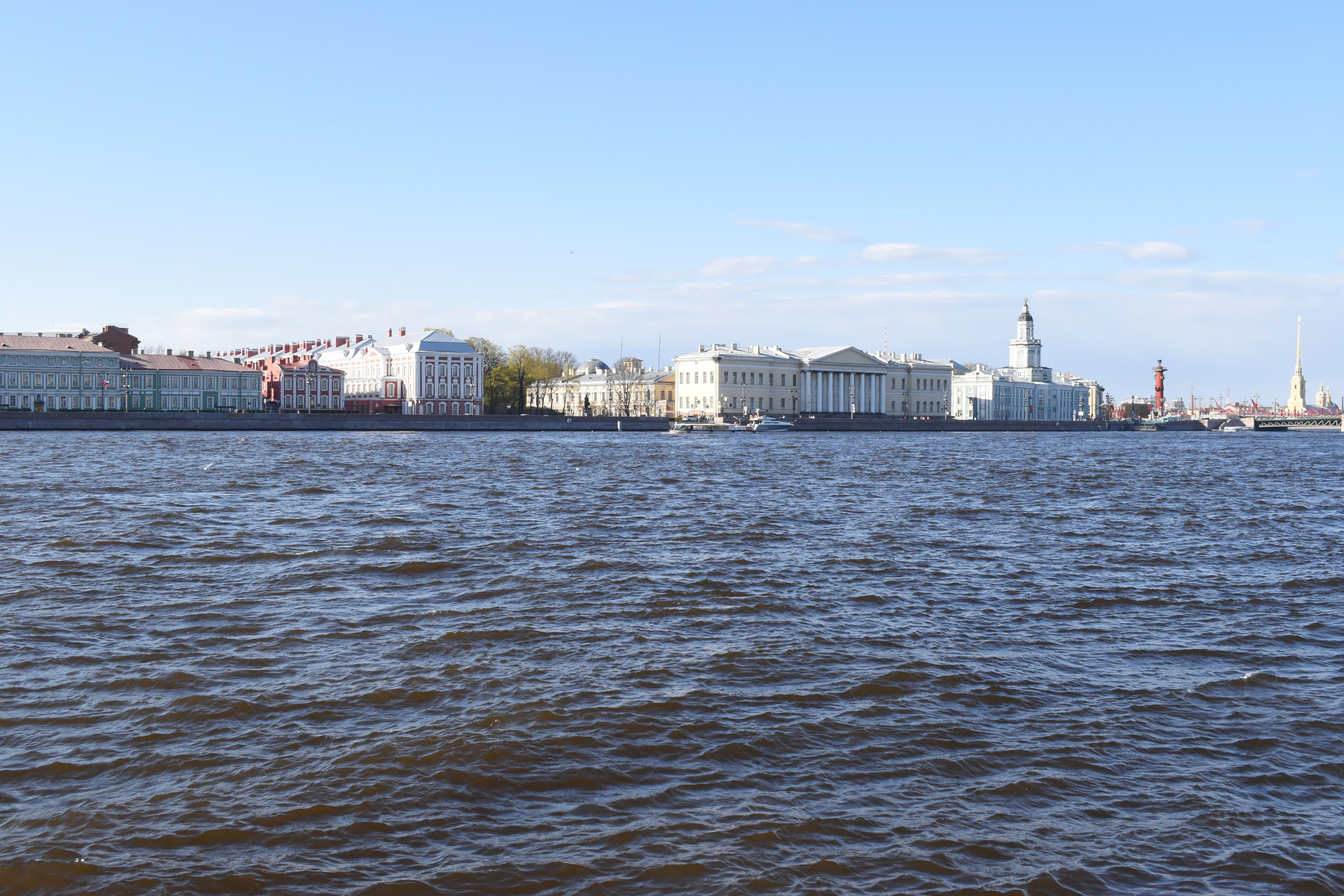 Санкт-Петербург, май 2024. Фотограф Анатолий Мелентьев