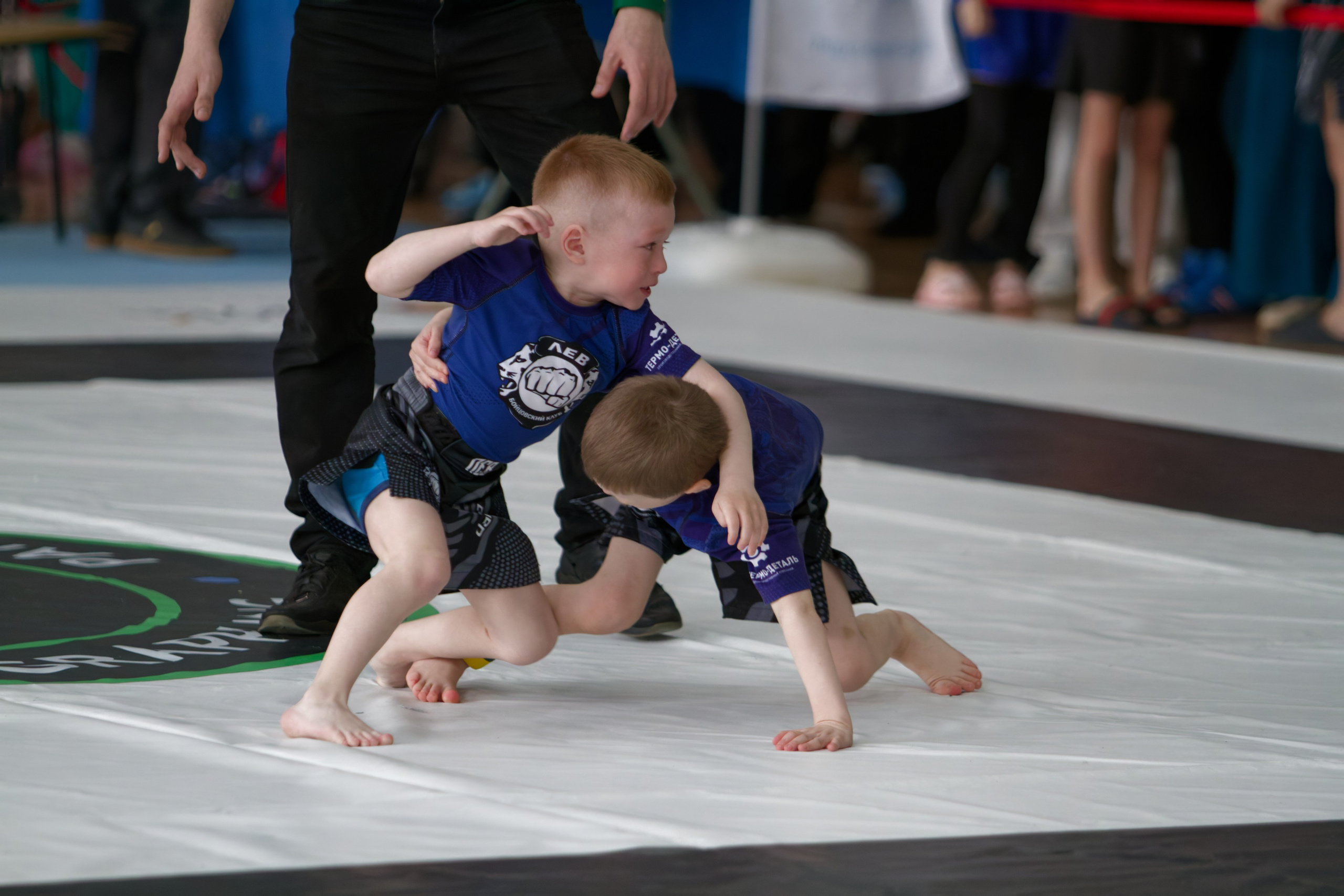 Борьба. Джиу-джитсу 26.04.2025. Репортажный и спортивный фотограф в г. Пермь Зильберг Павел