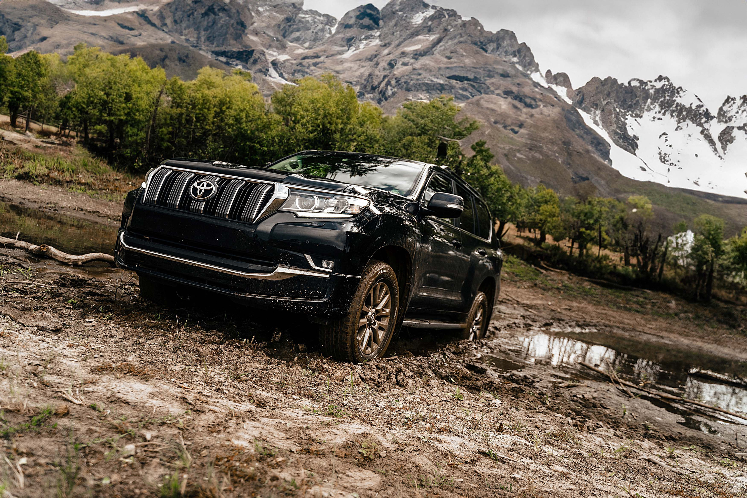 Land Cruiser Prado. Фотограф Казань