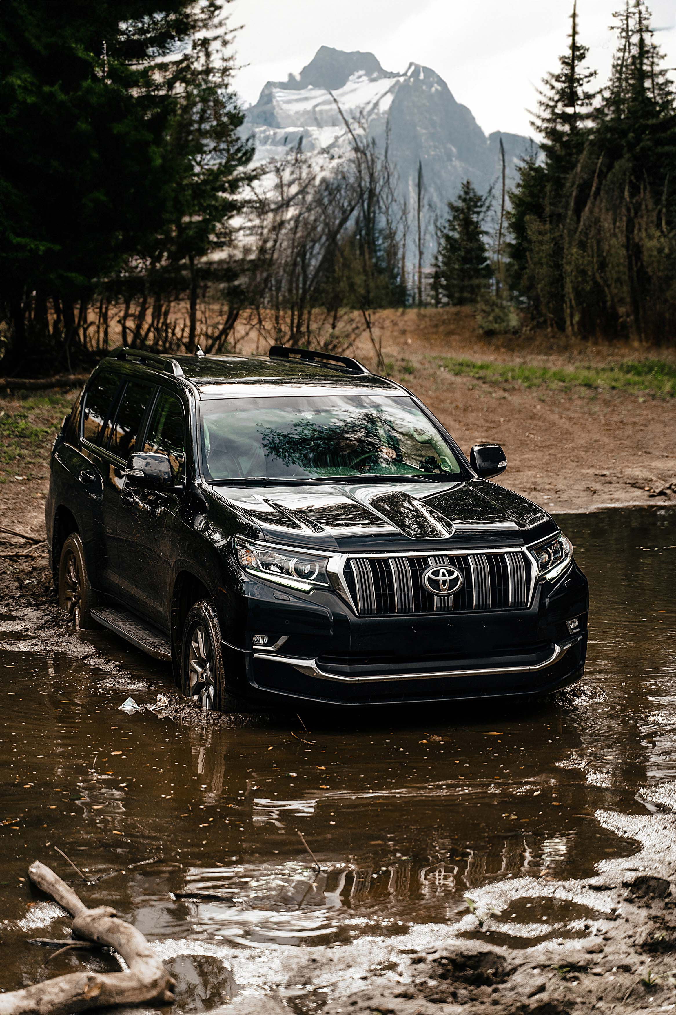 Land Cruiser Prado. Фотограф Казань