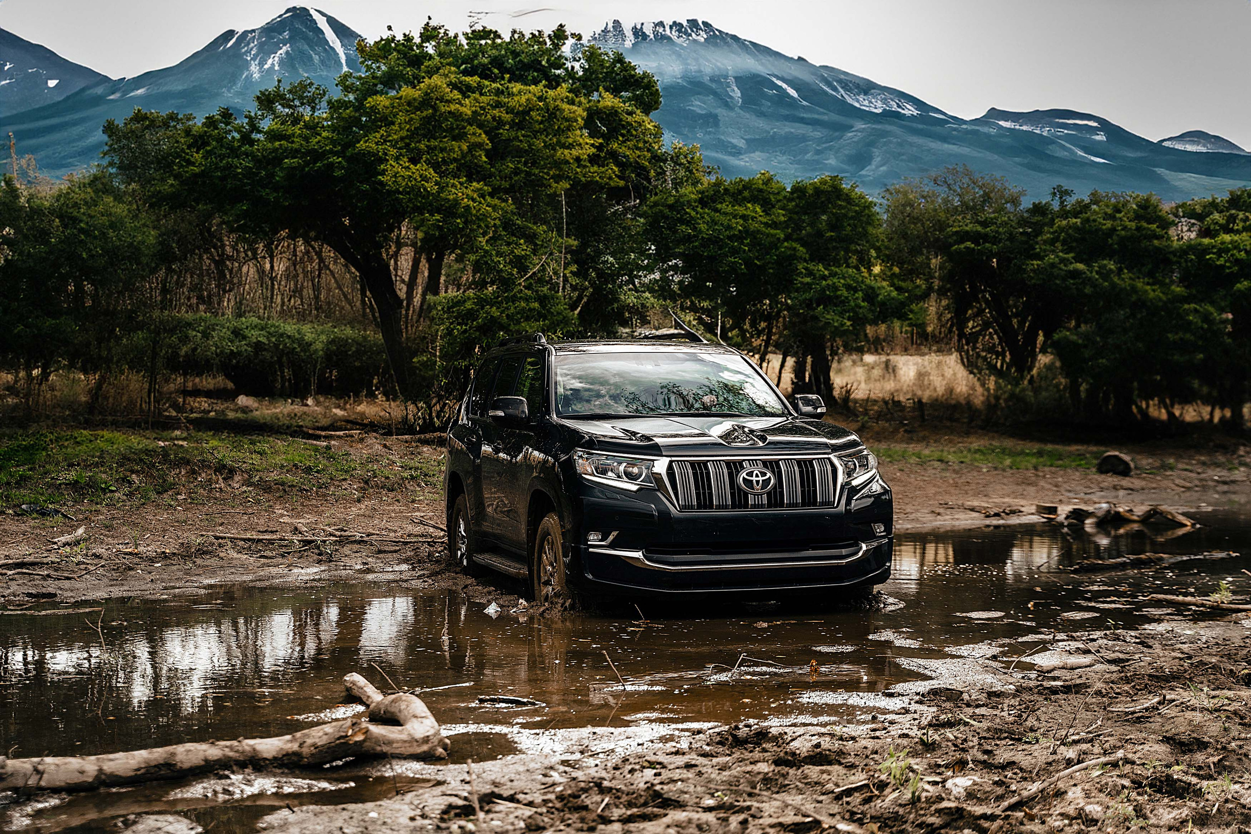 Land Cruiser Prado. Фотограф Казань